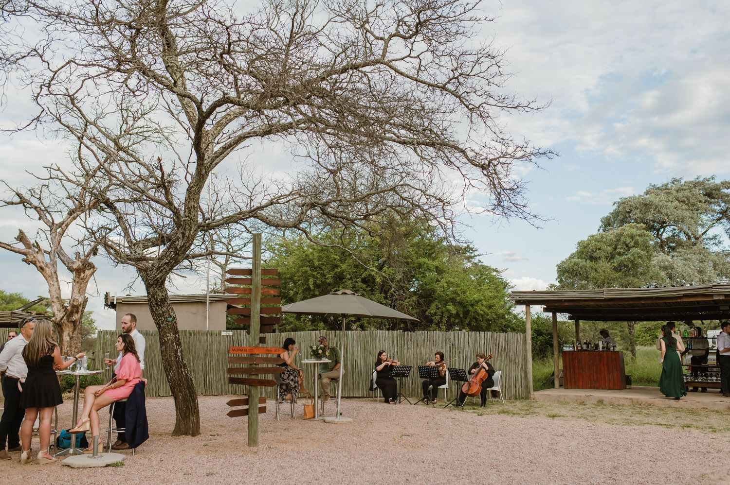 Wide panoramic view of an outdoor event space with trees and canopy setup.