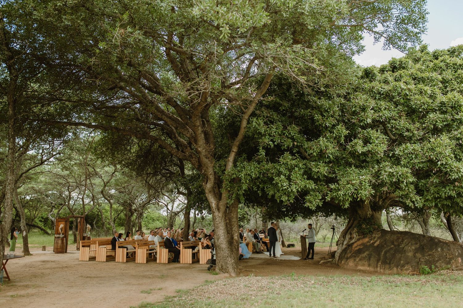 Natural outdoor wedding venue with trees creating a cathedral-like ceiling.