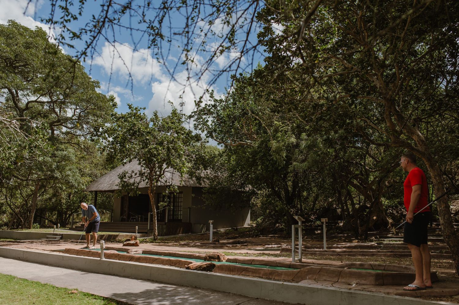 Panoramic view of a park pathway lined with oak trees on a sunny day.