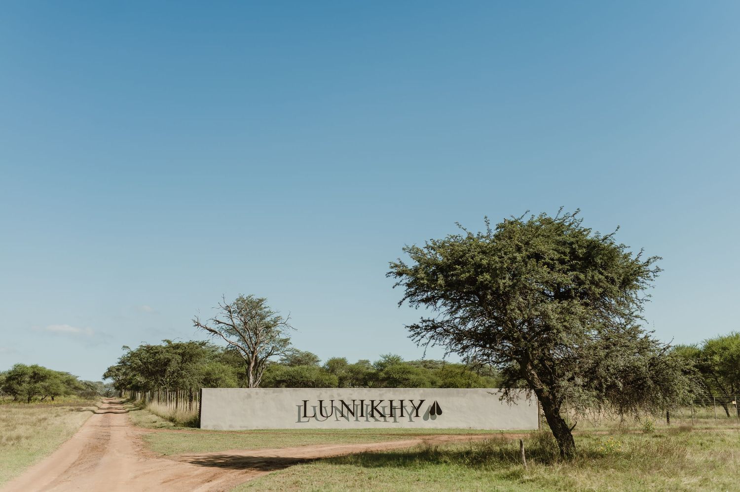 Scenic African safari landscape with acacia trees stretching across the horizon.