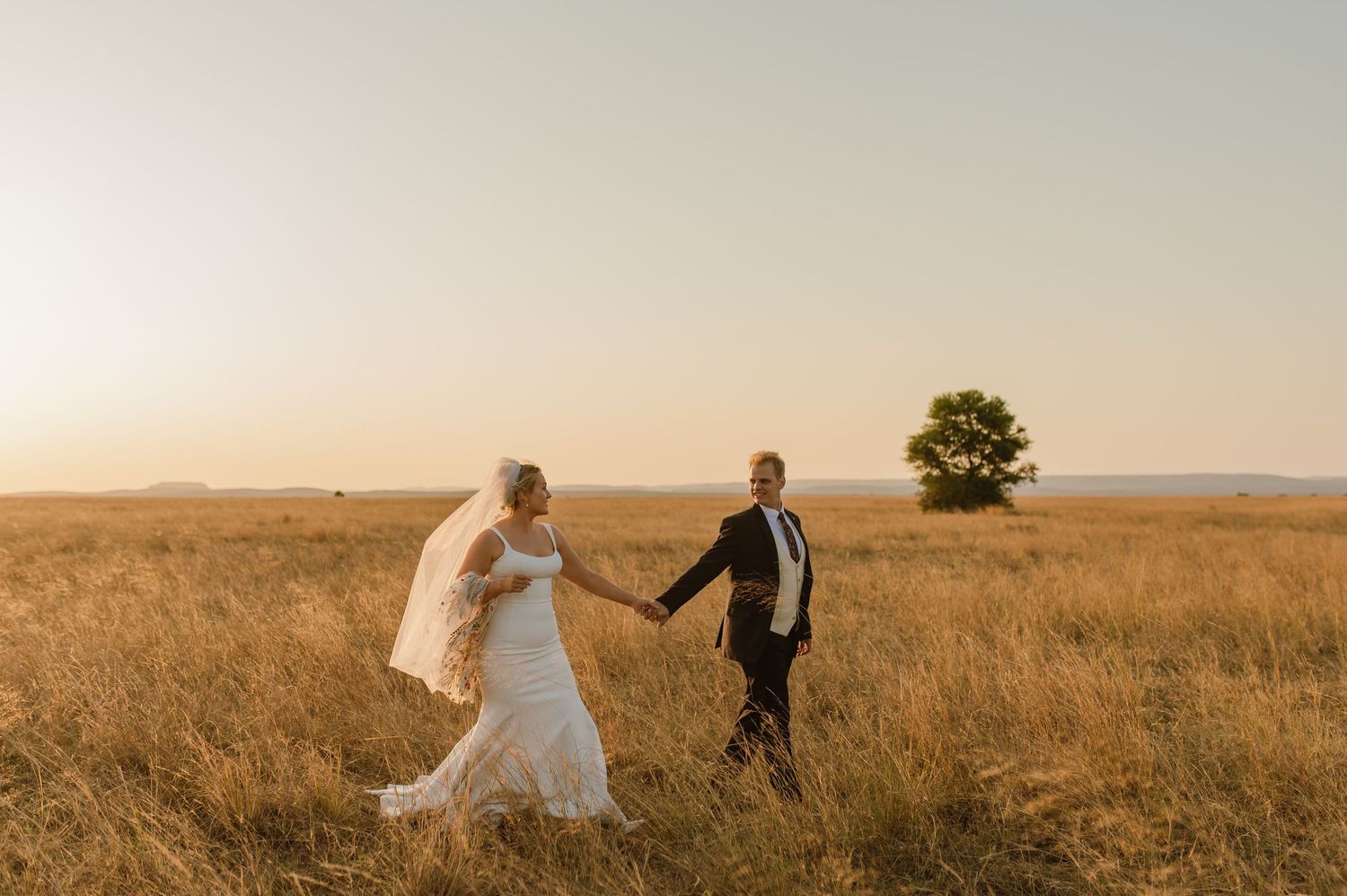 Couple in wedding attire standing in golden field during sunset with flowing veil.
