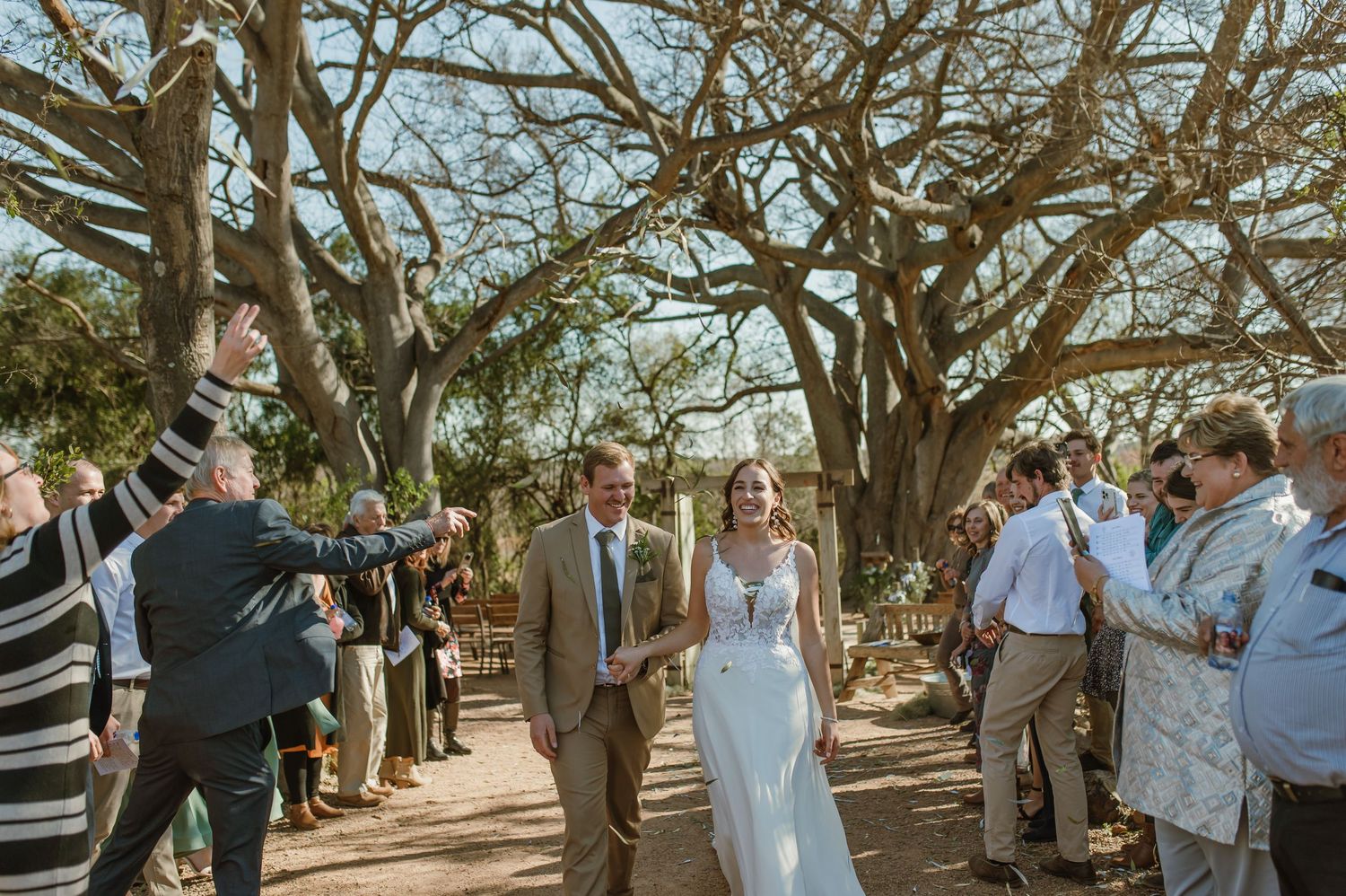 Outdoor wedding celebration with guests mingling beneath twisted tree branches.