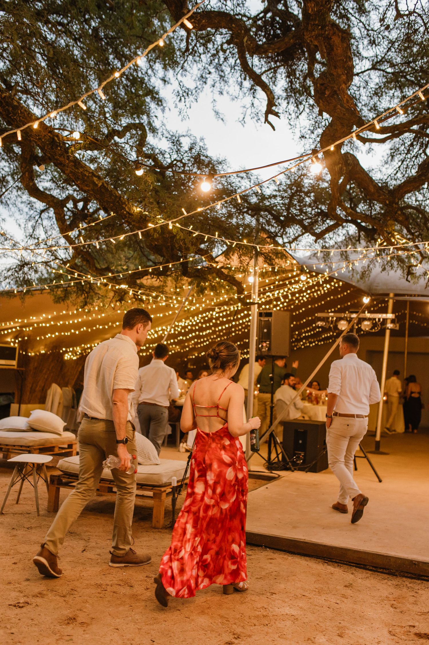 Outdoor wedding reception under trees with twinkling string lights creating a romantic atmosphere.