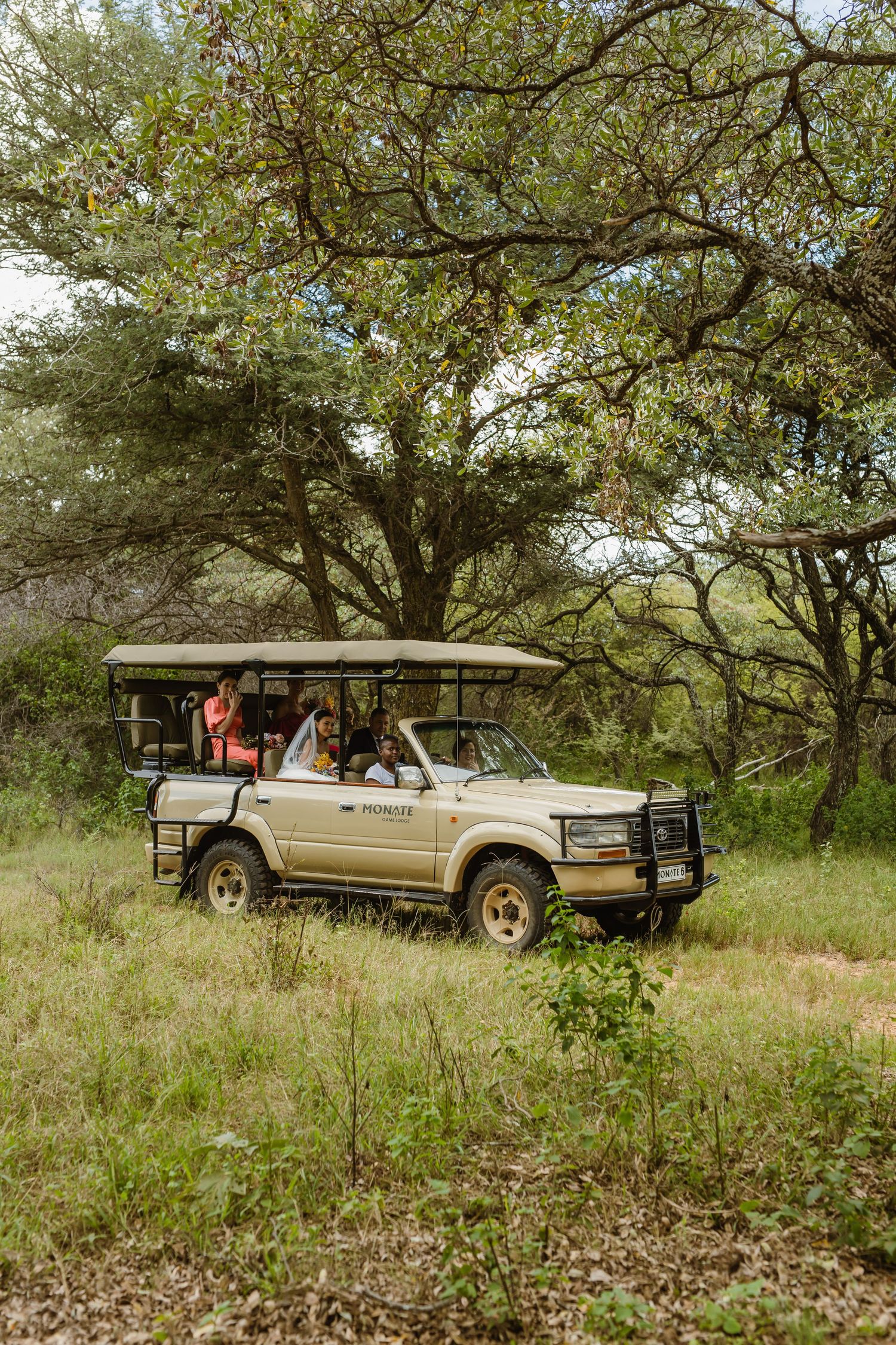 Safari game drive vehicle with passengers parked under a large tree in African bush landscape.