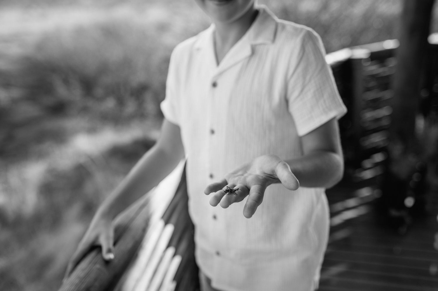 Vow renewal - Morukuru Family - Madikwe Reserve by Safari Wedding Photographer - Wildflower Photography