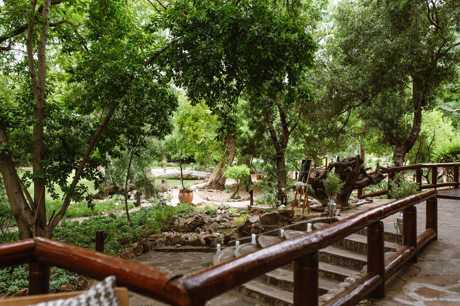 Mashatu game reserve, Tuli Safari Lodge, Botswana safari wedding by Safari wedding photographer wildflower photography