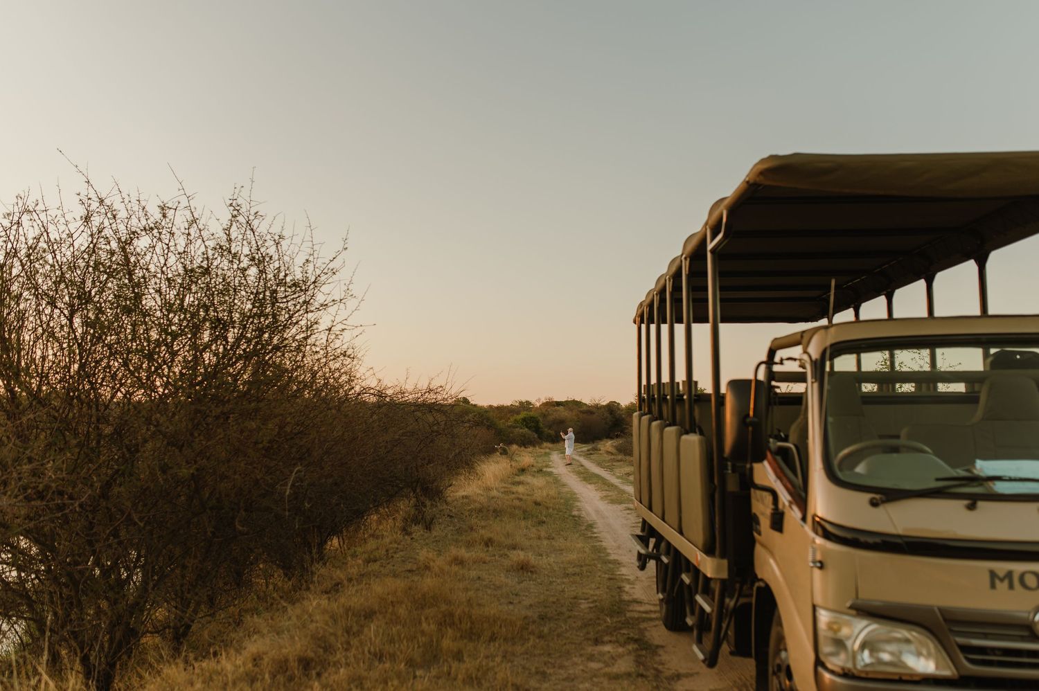 Safari vehicle parked on dirt road through African bushveld at golden hour.