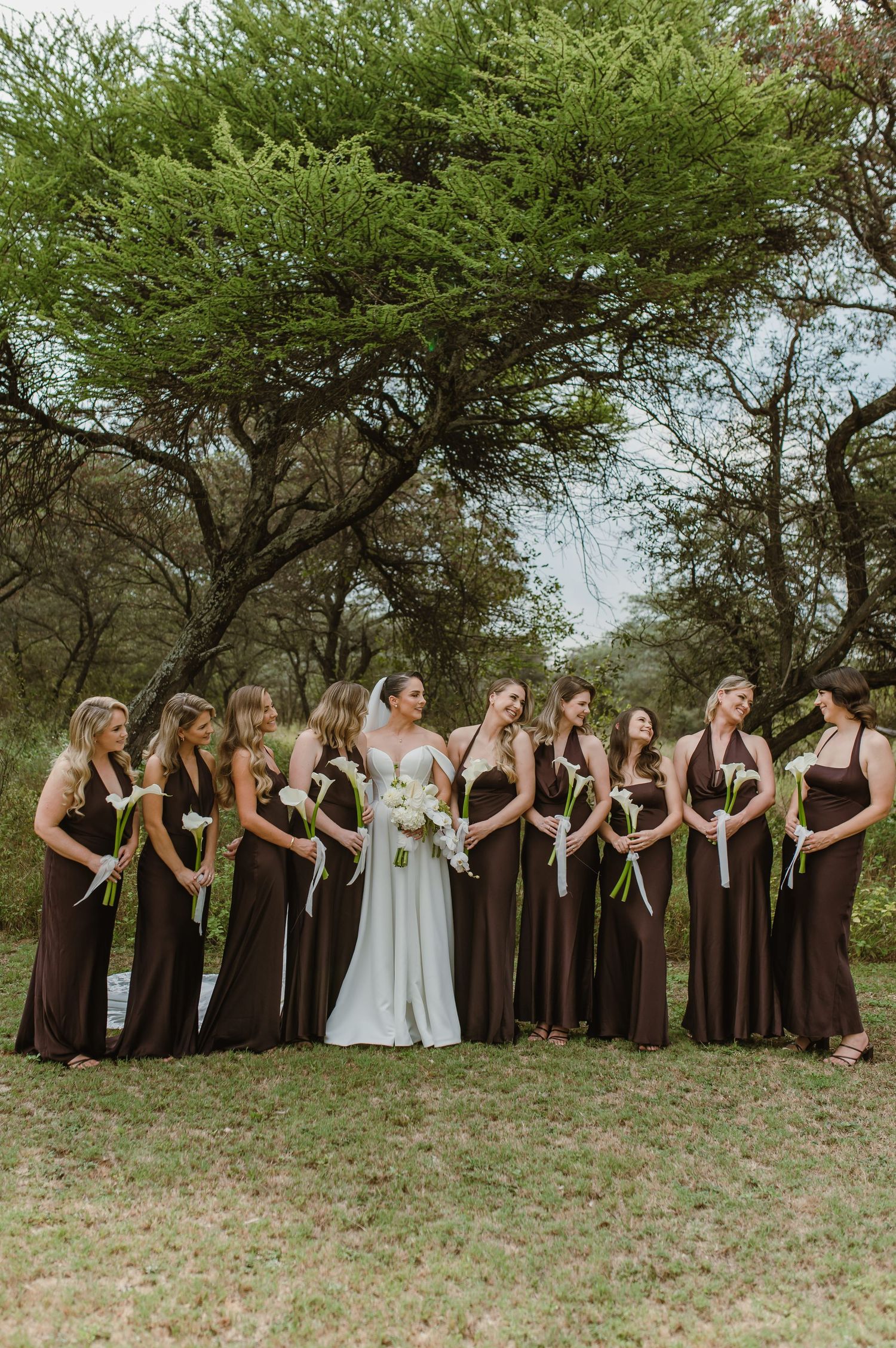 Wedding party in brown bridesmaid dresses and white bridal gown pose together under a large tree in an outdoor setting.