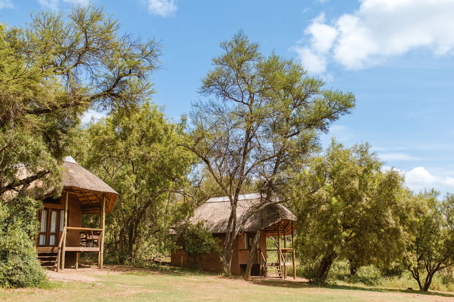 GRAEME & KIRSTY'S KUTHABA BUSH LODGE WEDDING BY SAFARI WEDDING PHOTOGRAPHER WILDFLOWER PHOTOGRAPHY