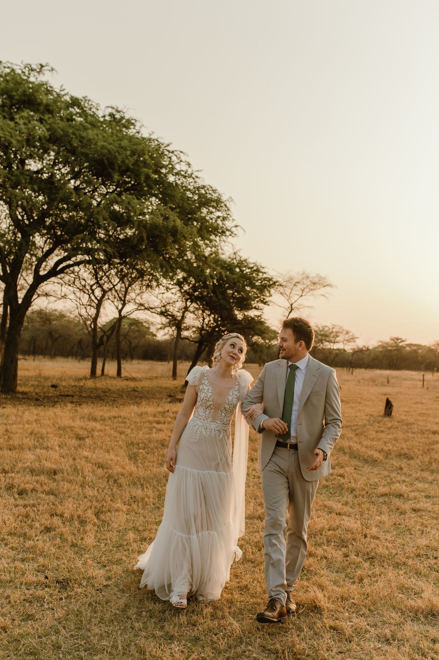 A romantic wedding couple walks through a golden savanna field at sunset with acacia trees in the background.