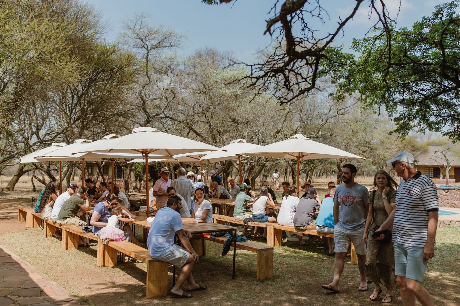 Poolside lounge area with sunbeds and umbrellas in safari-style setting.