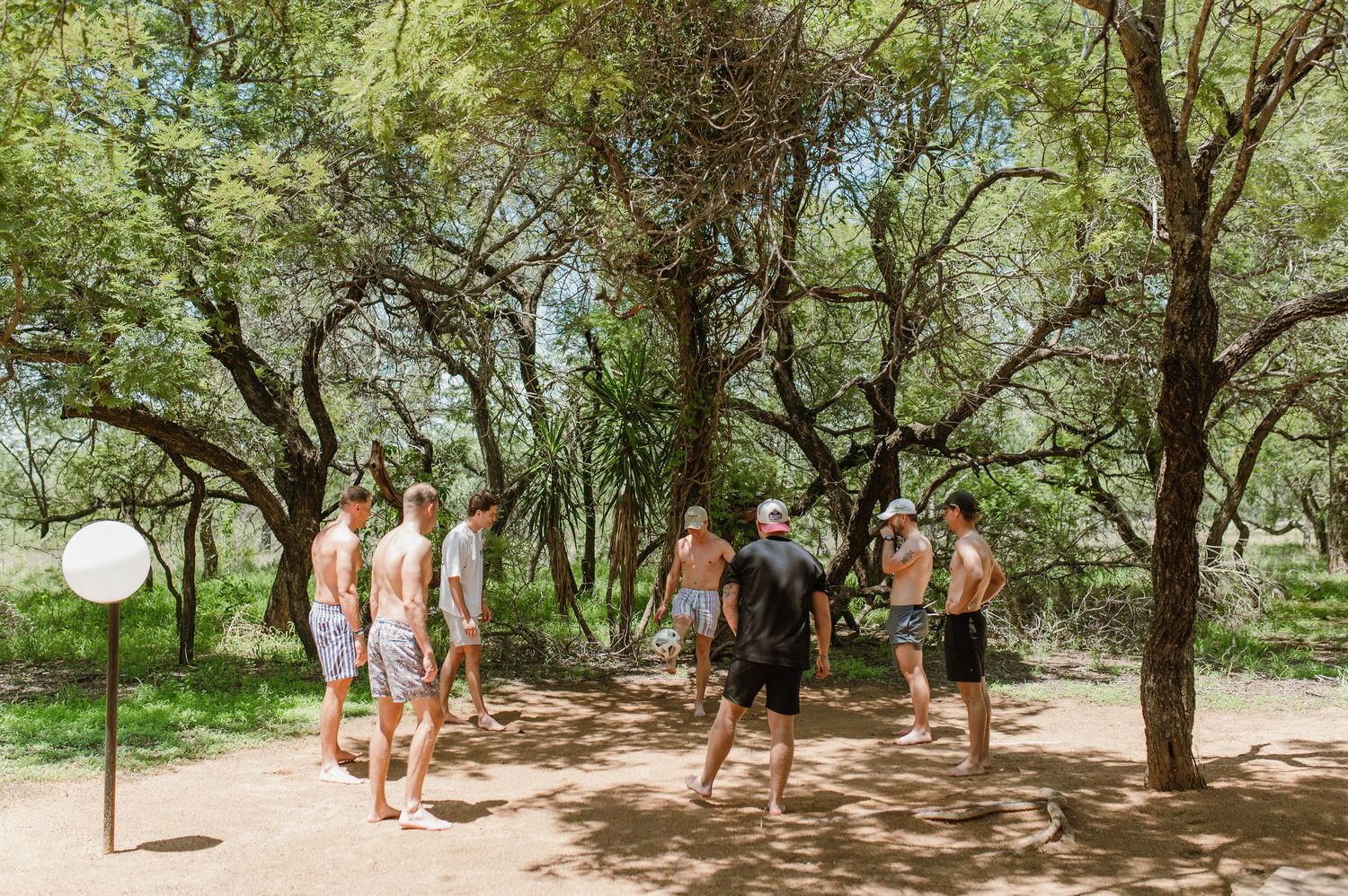Group playing casual outdoor games under tree canopy.