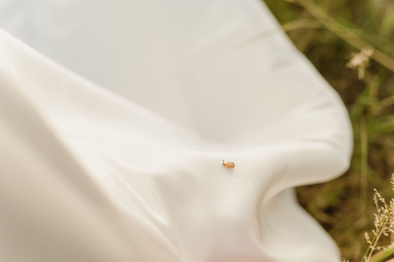 Close-up of tiny insect on flowing white wedding dress fabric in natural outdoor setting.