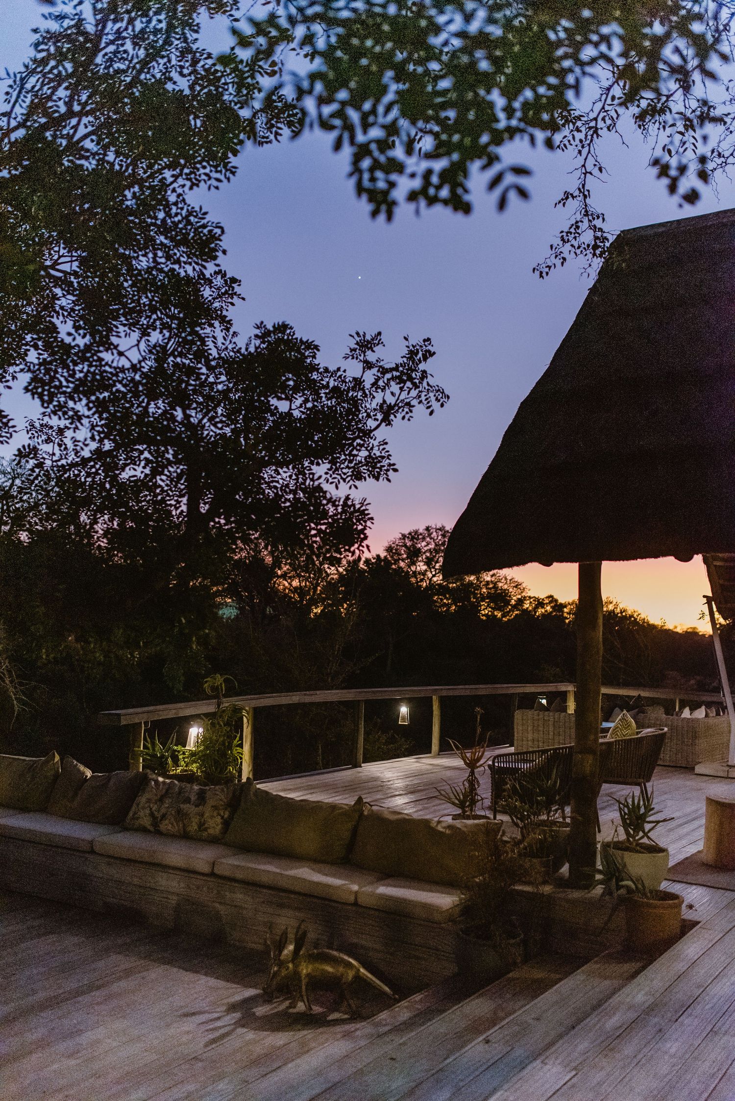Thornybush Game Lodge, Kruger National Park Wedding by Safari Wedding Photographer Wildflower Photography