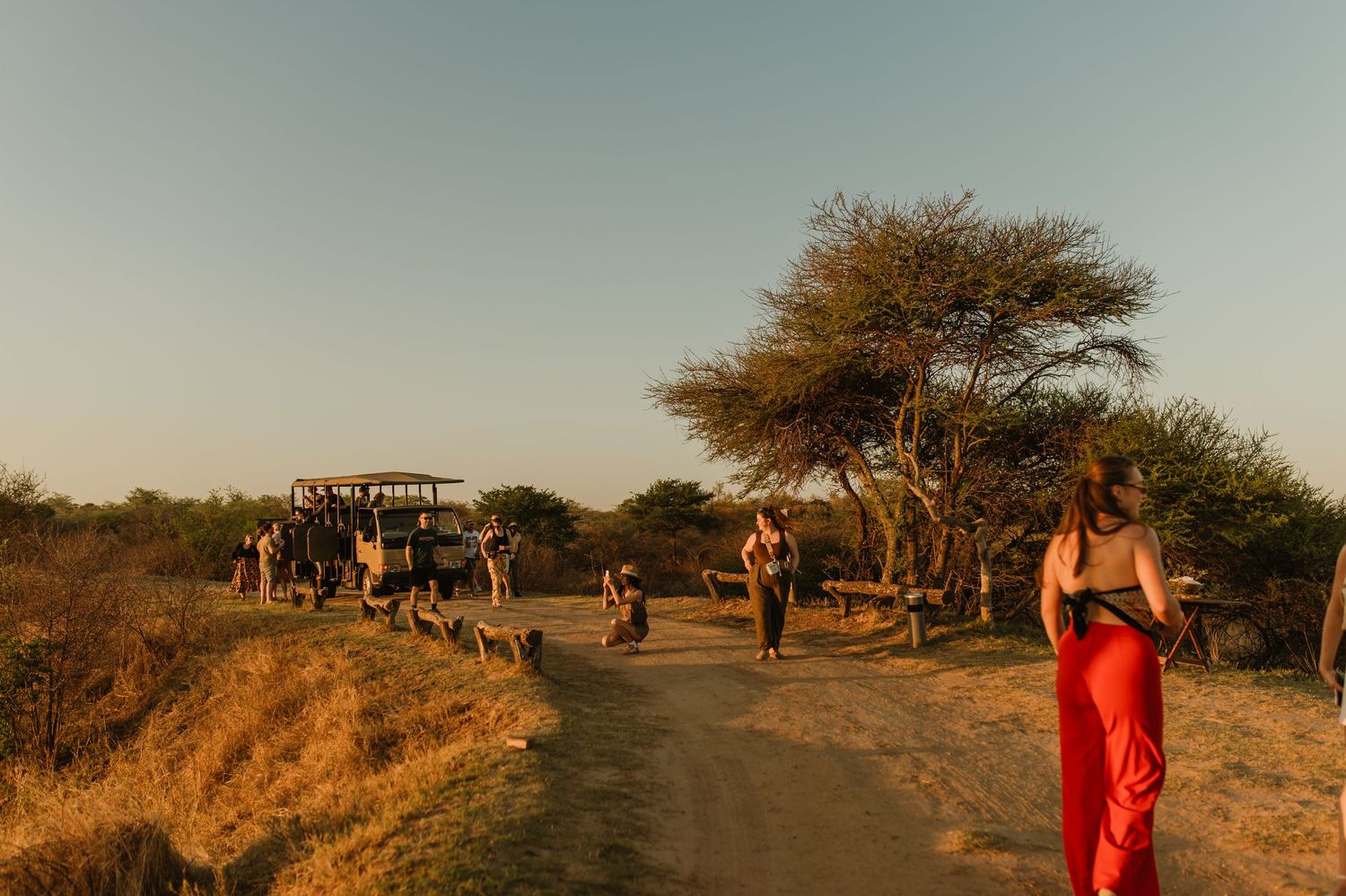 Group enjoying an outdoor gathering at sunset with vehicles parked nearby.