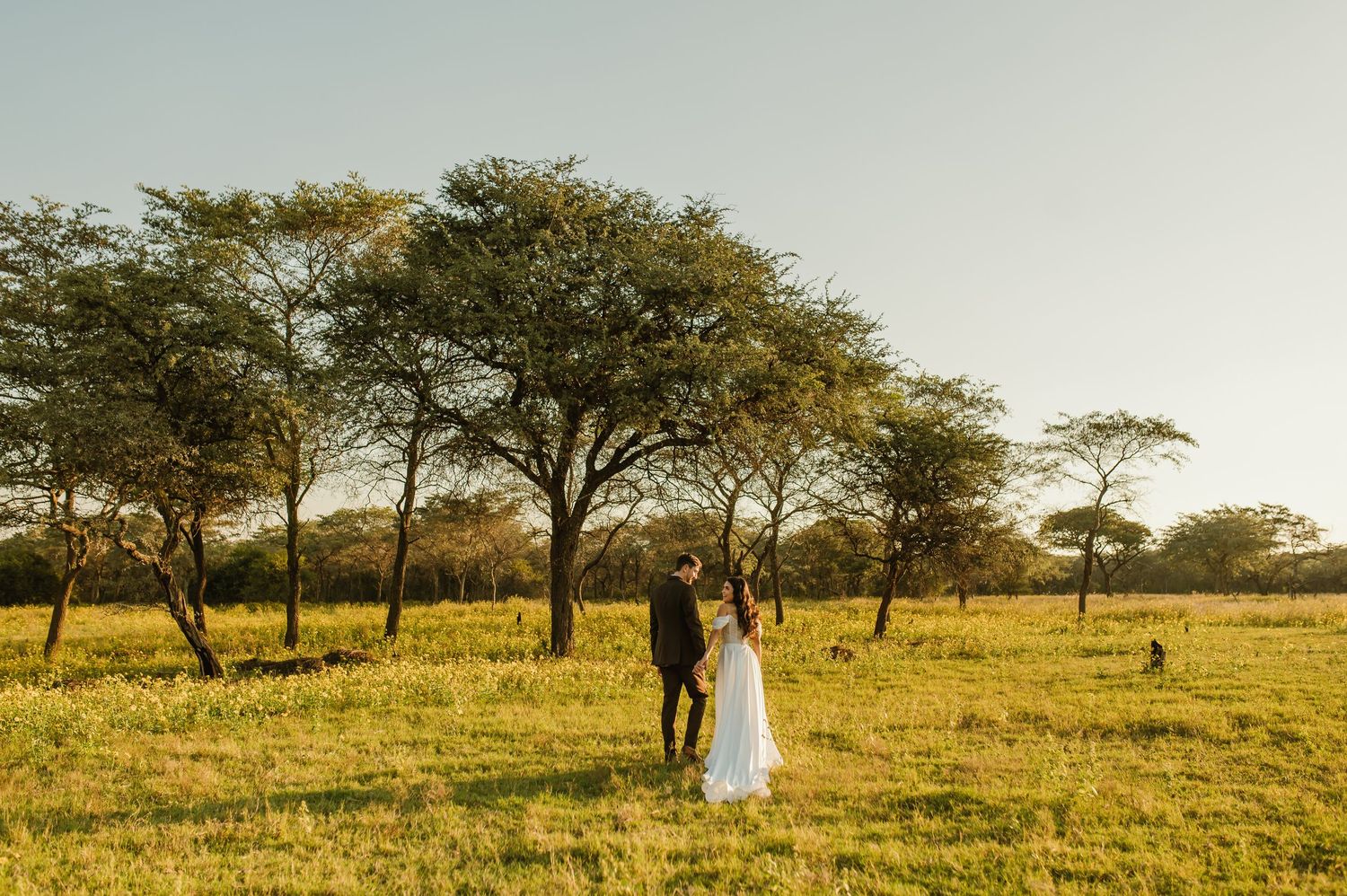 Wide landscape shot of couple walking through African savanna at sunset.