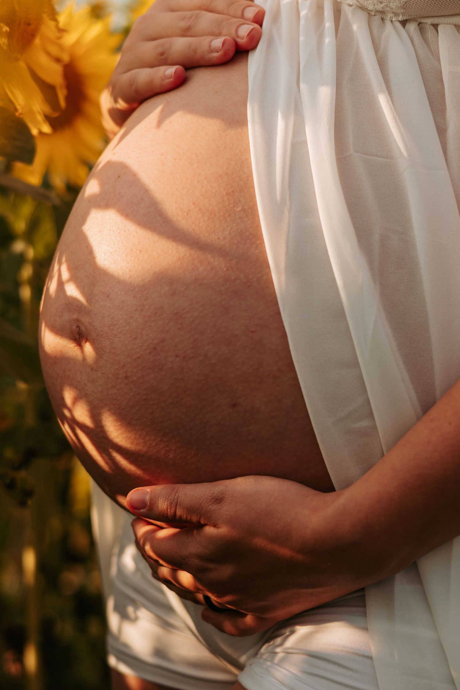 Close-up shots of pregnant belly with hands cradling bump in warm sunlight.