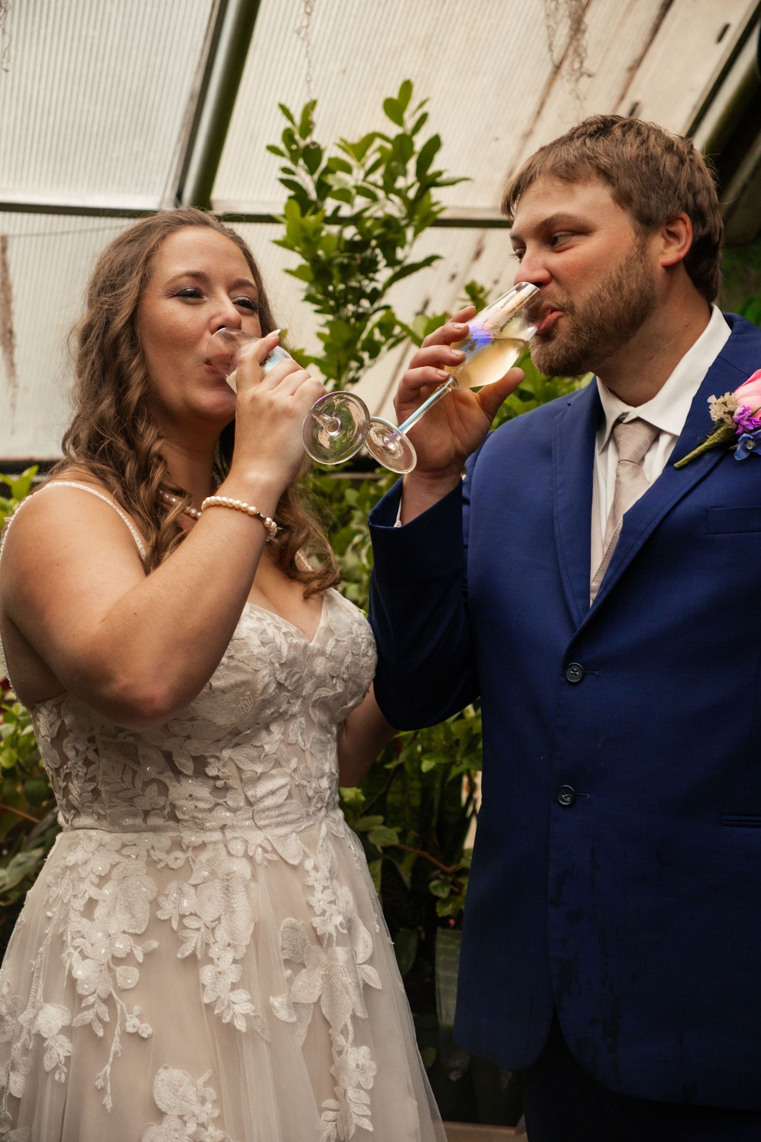 A couple in wedding attire toasts with champagne glasses in a greenhouse setting.