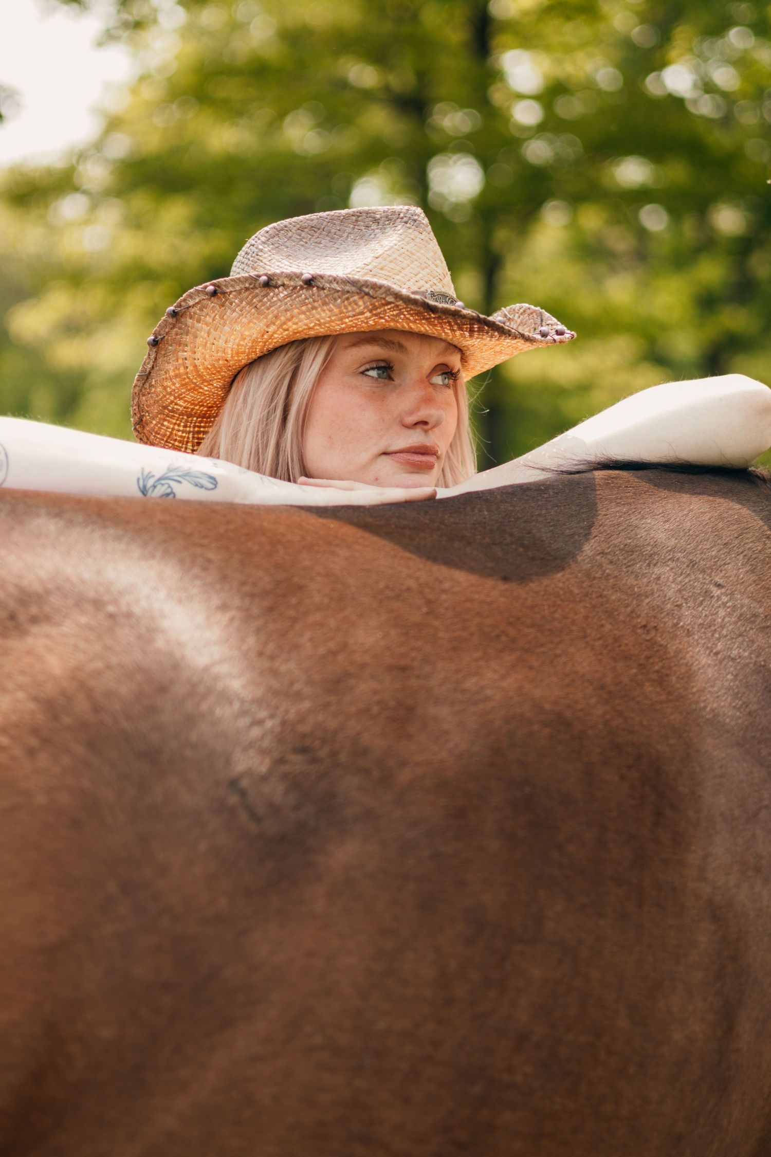Person wearing cowboy hat resting against brown horse in natural outdoor setting.
