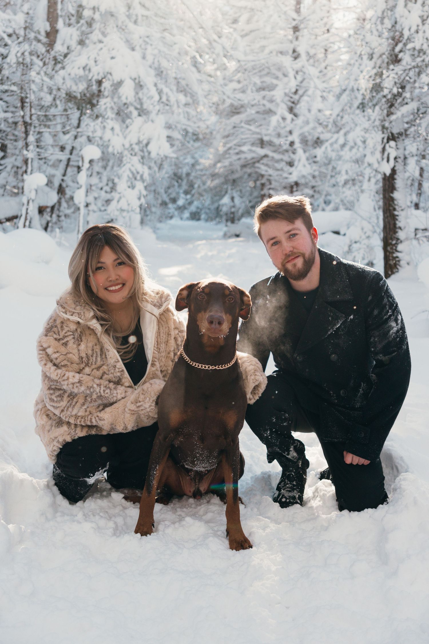 A couple poses with their chocolate lab dog in a snowy winter forest setting.