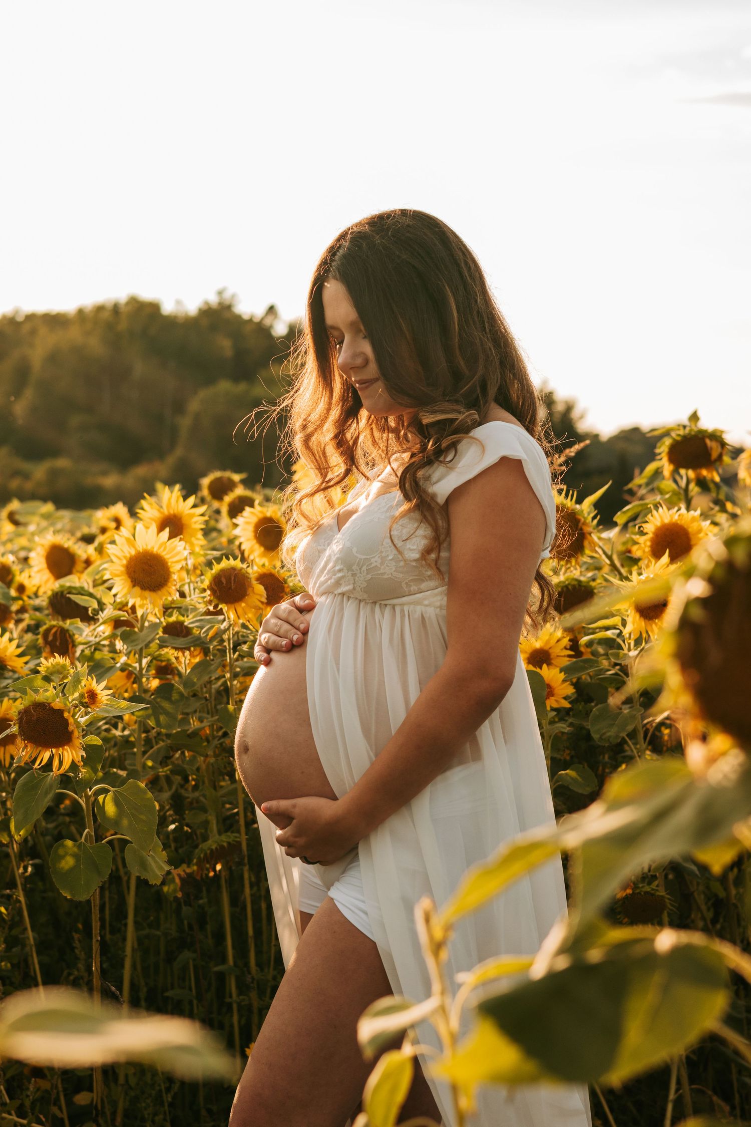Maternity photography session in a sunflower field during golden hour.