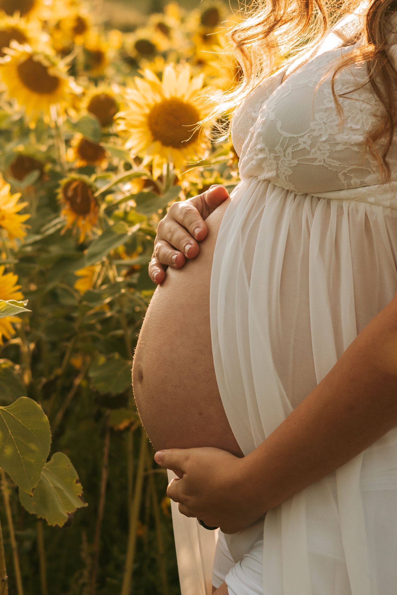 Maternity photo showing pregnant belly in white dress against golden sunflower field at sunset.