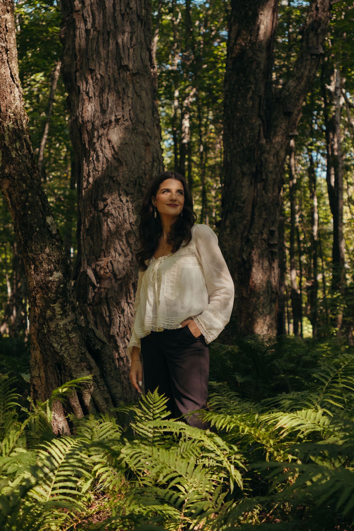 Artistic woodland photography with soft lighting filtering through trees.
