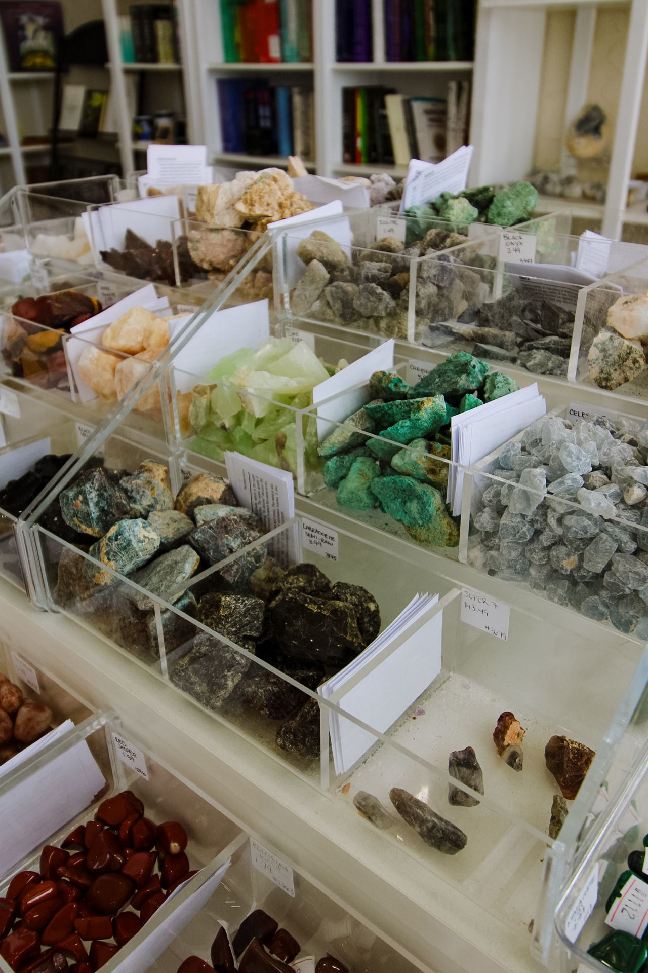 Various raw minerals and crystals arranged in white display cases at a rock shop.