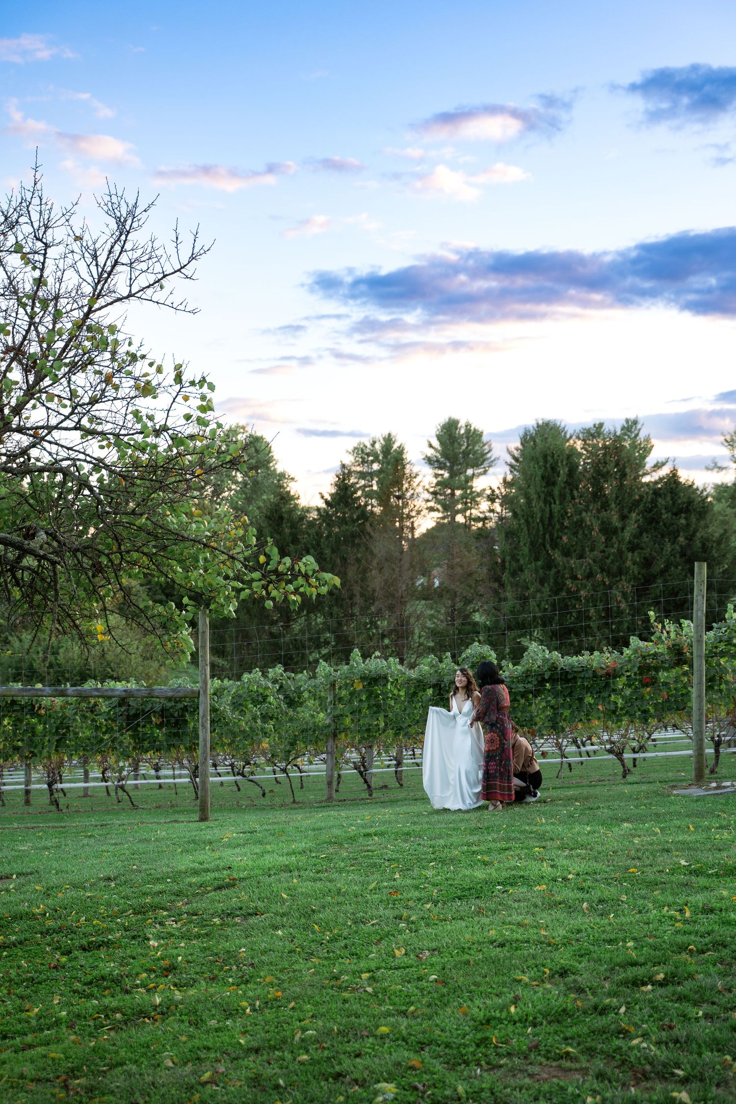 Smiling bride holds wedding train while a friend helps her with her dress in a vineyard under a purple and blue sunset
