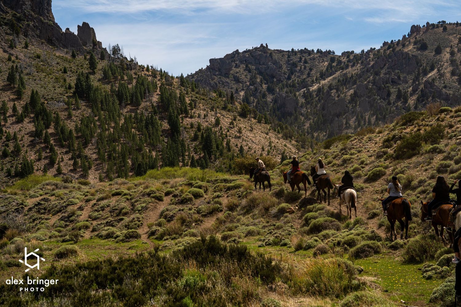 Group of horseback riders trekking through a rugged green mountain valley landscape.