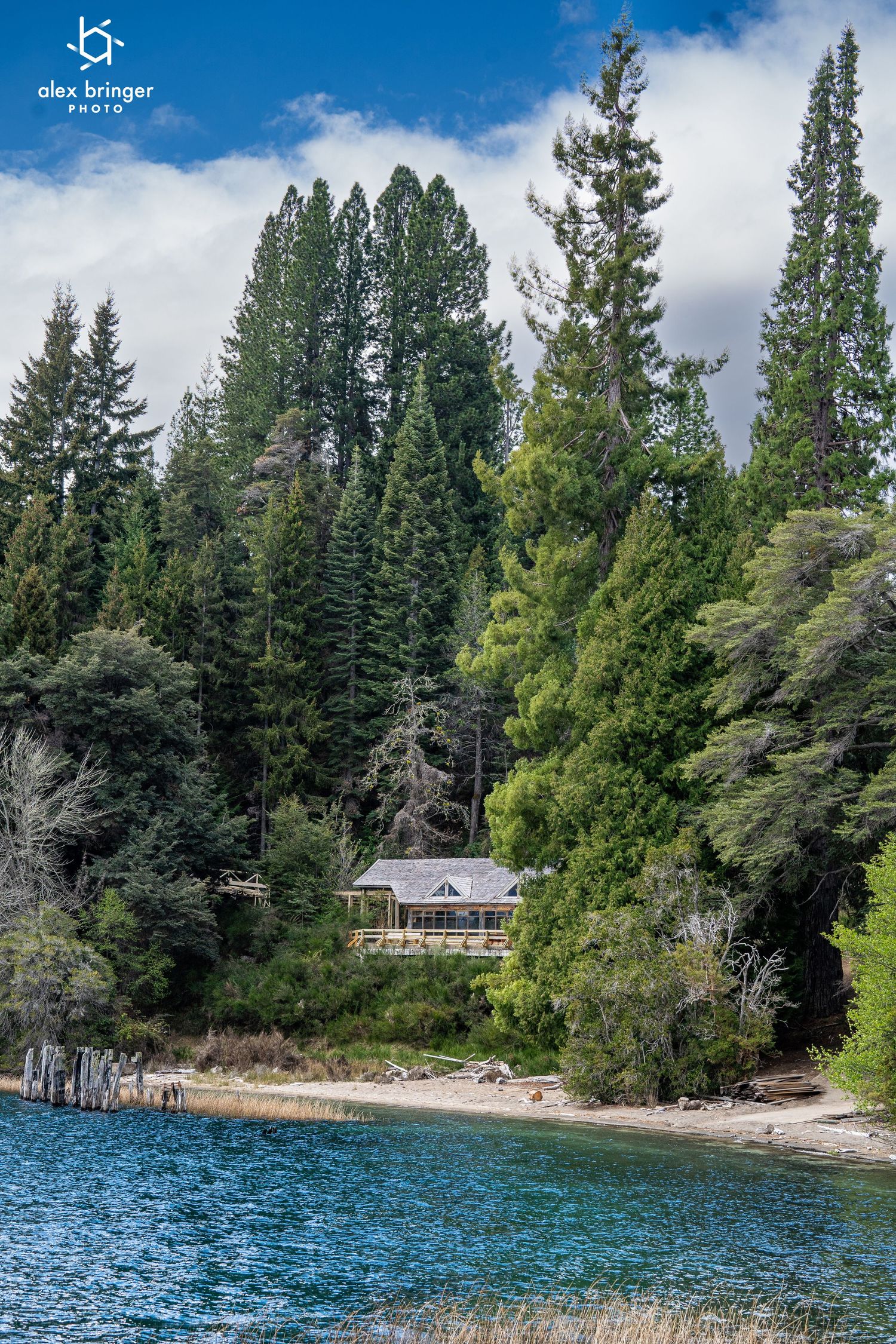 Secluded lakeside cabin nestled among tall evergreen trees on a blue mountain lake shore.