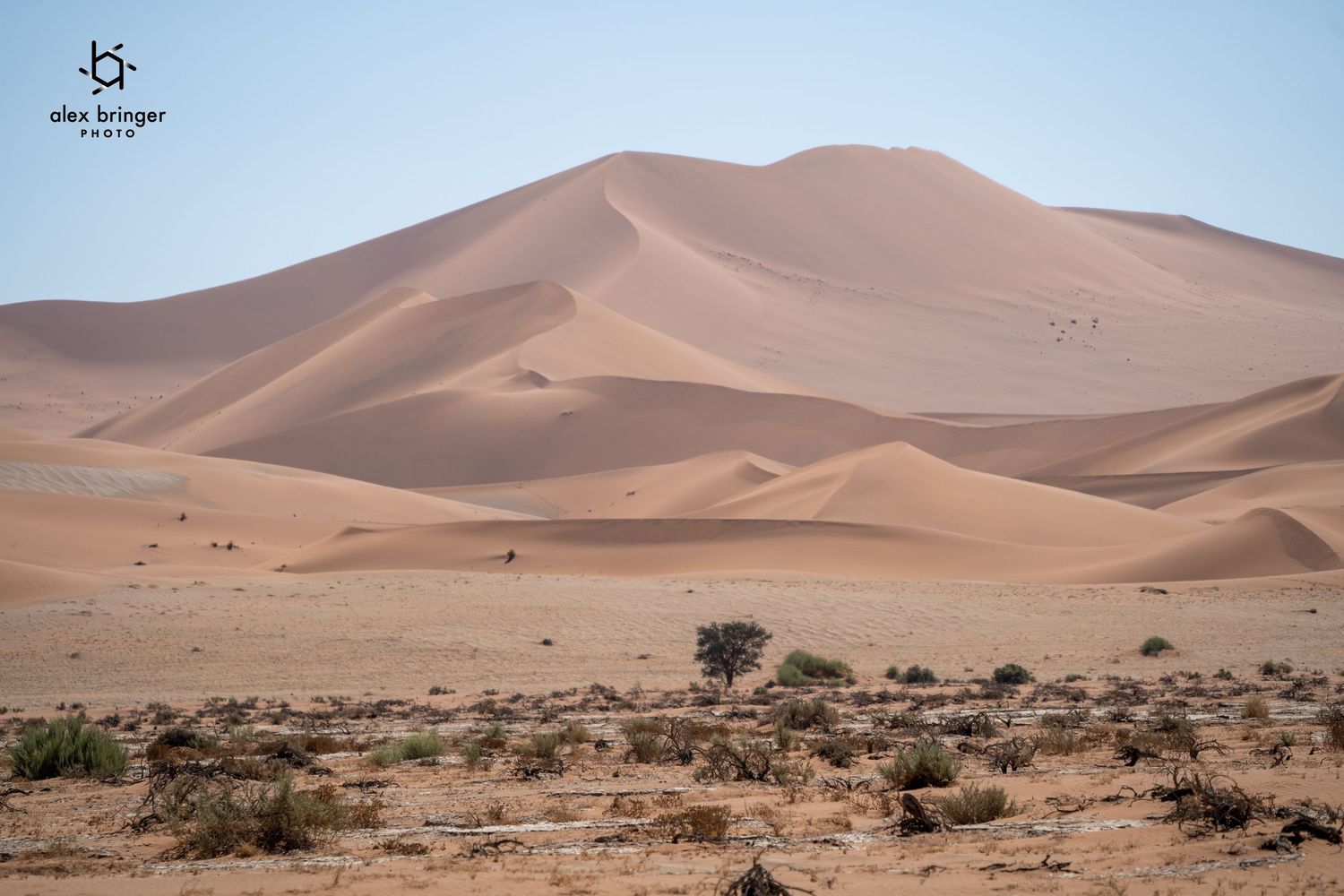 Vast Namibian desert landscape featuring sweeping golden sand dunes and sparse desert shrubs.
