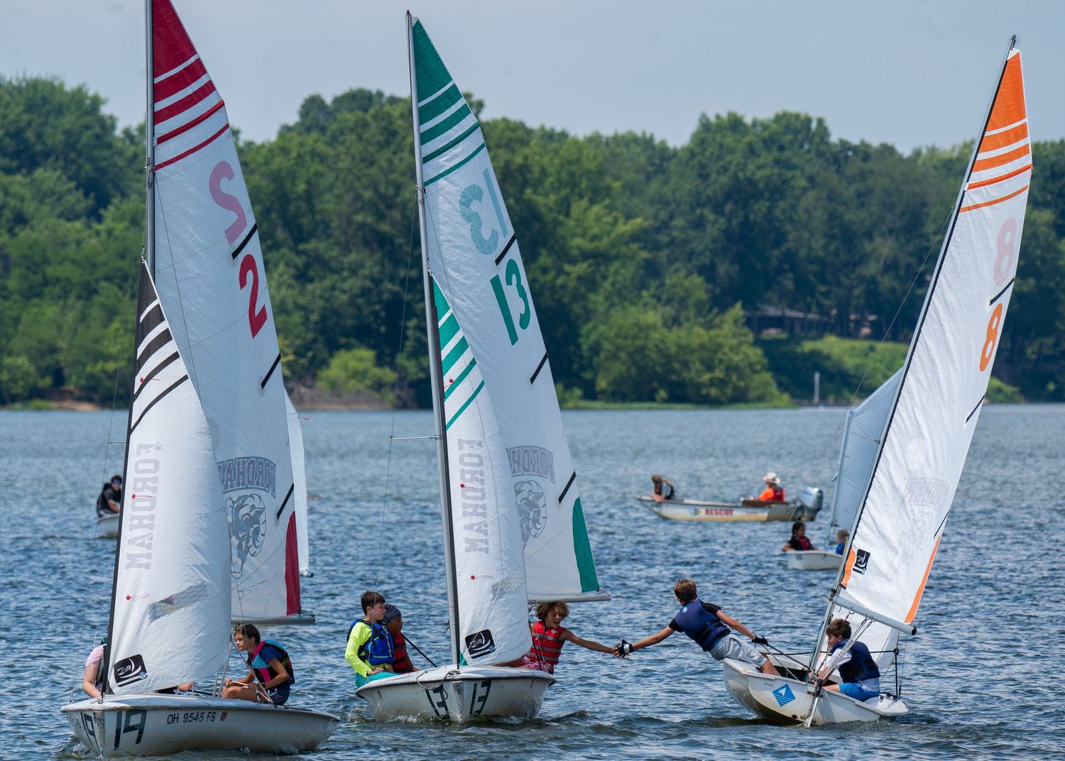 Multiple youth sailing teams compete in small sailboats with colorful sails on a sunny lake.