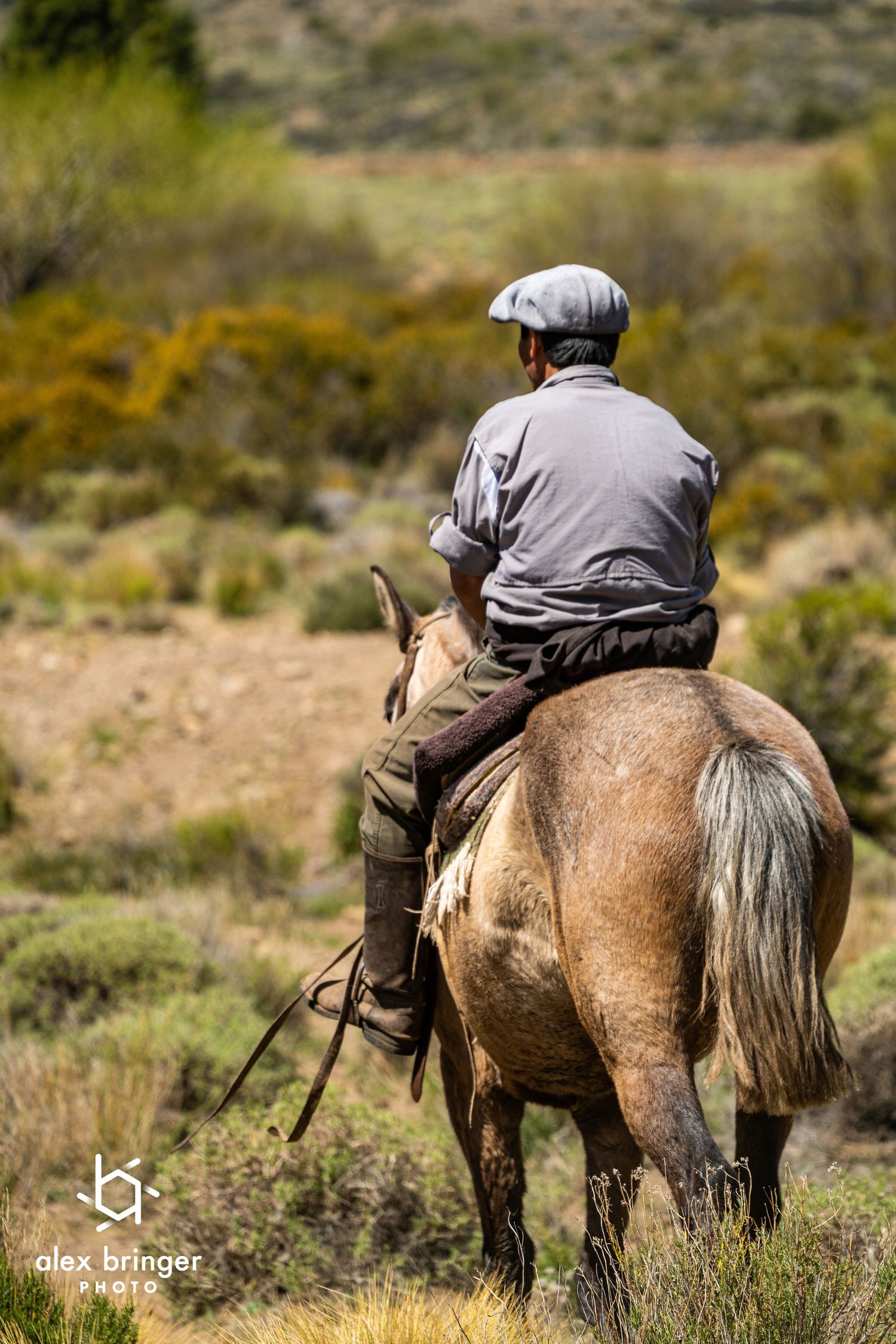 Gaucho rider on horseback surveying a vast open Patagonian scrubland from behind.