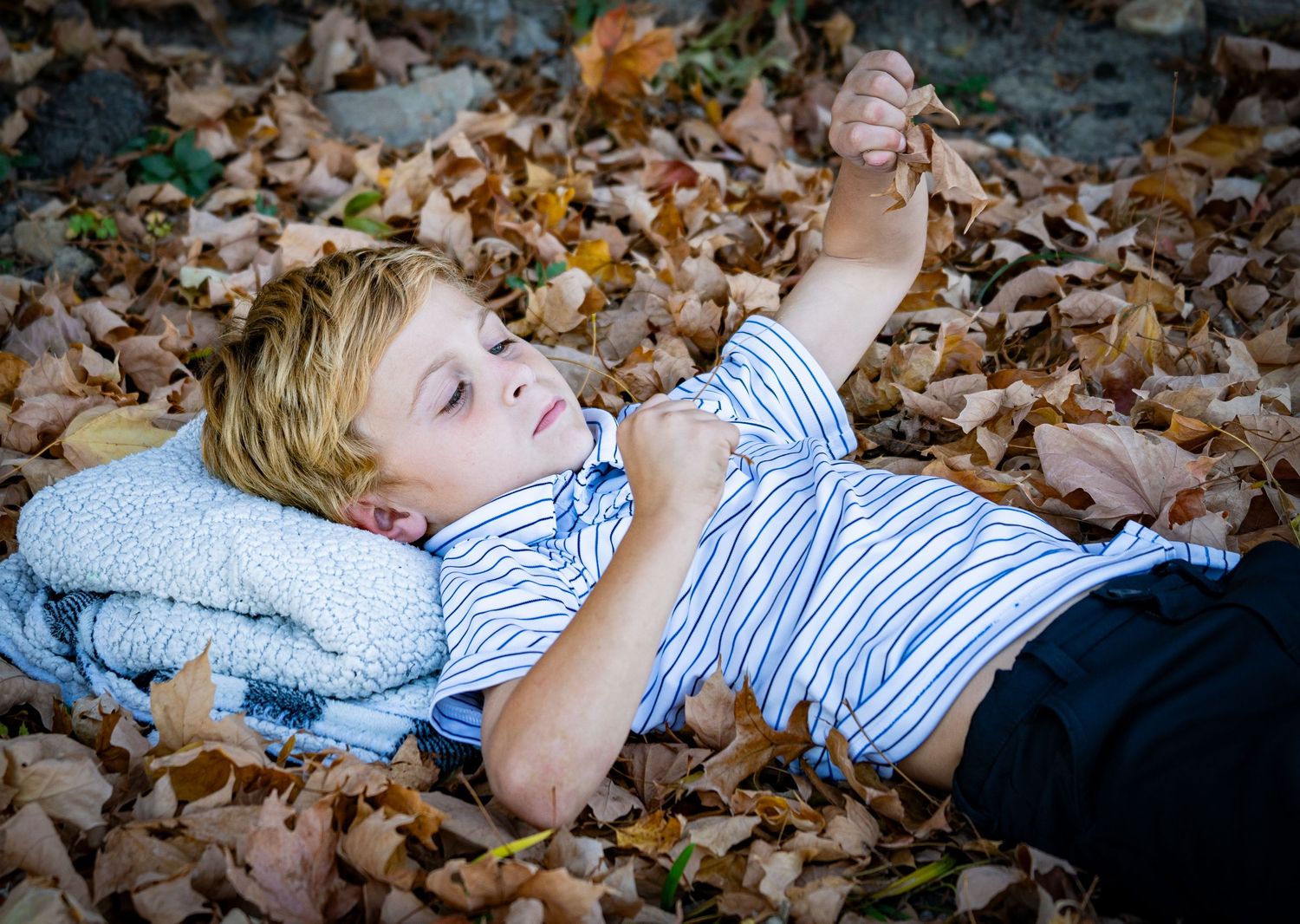 Young blonde boy lying relaxed on bed of autumn leaves outdoors, holding a small object up.