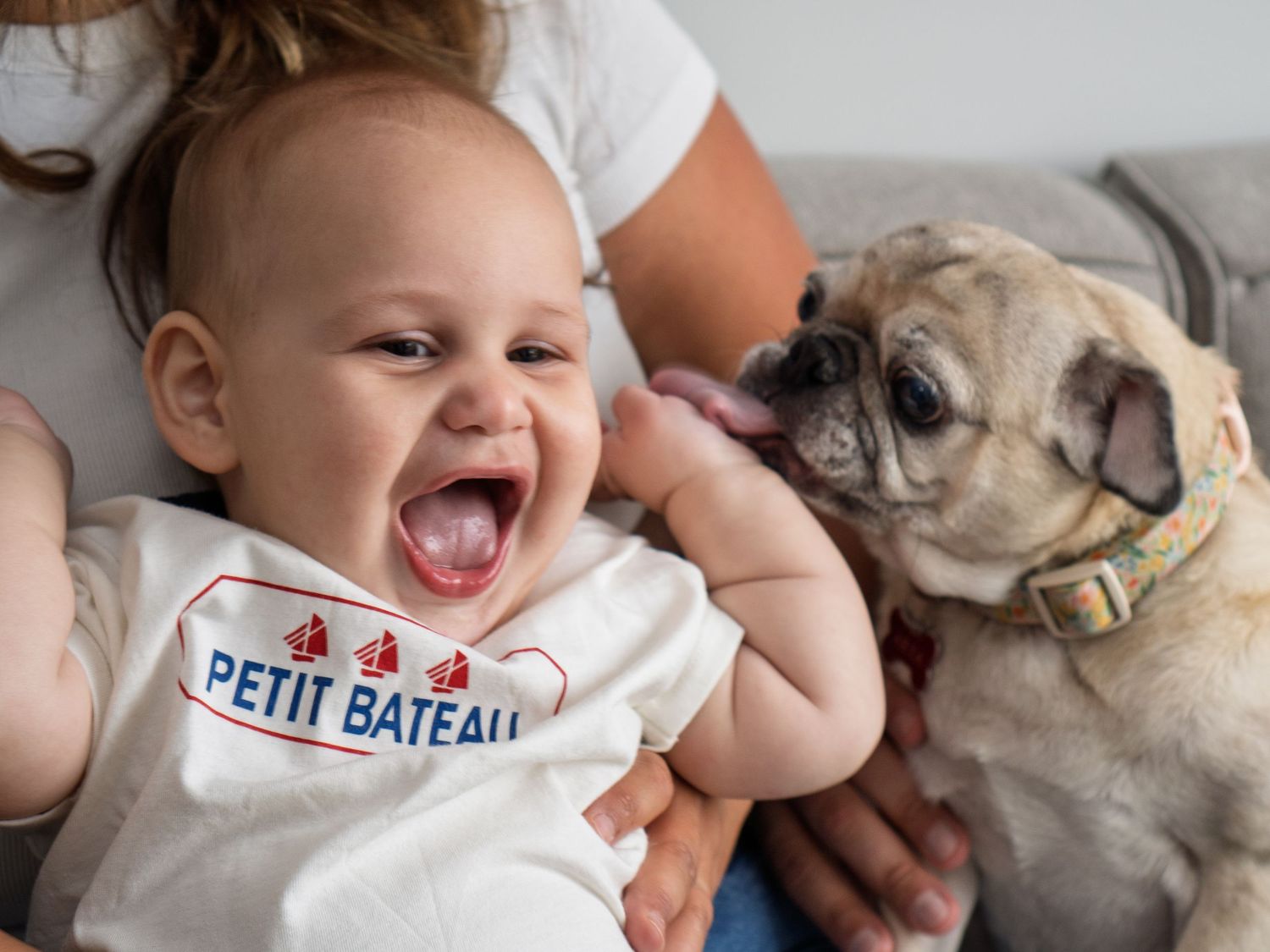 Laughing baby in Petit Bateau onesie sits with a pug dog, both held by a woman on a couch.