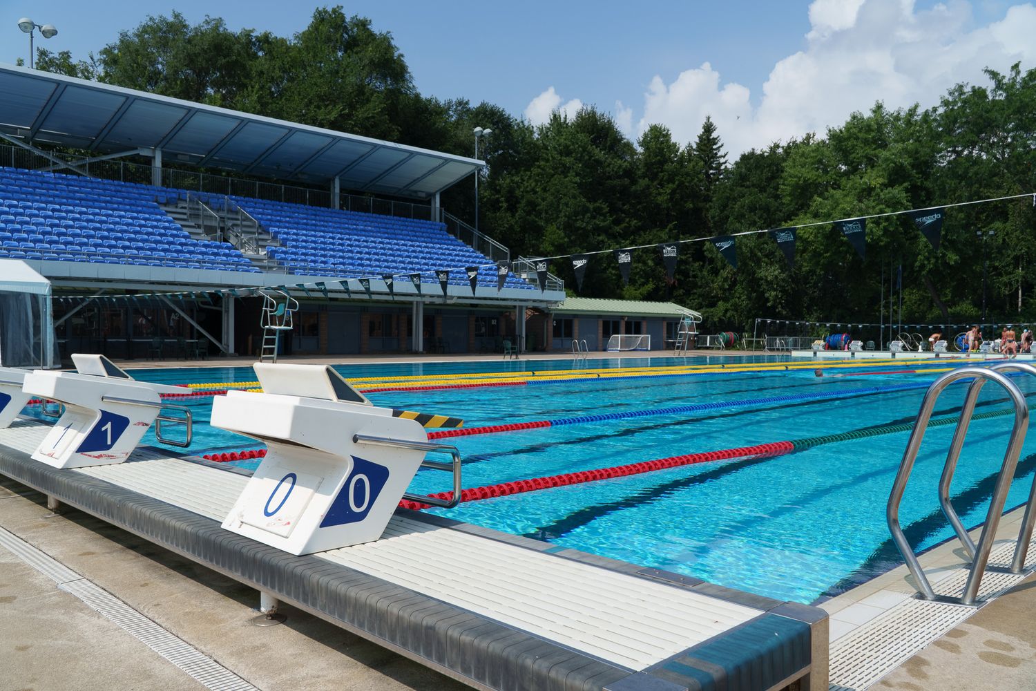 Outdoor Olympic swimming pool with blue lane dividers, starting blocks, and stadium seating surrounded by lush green trees.