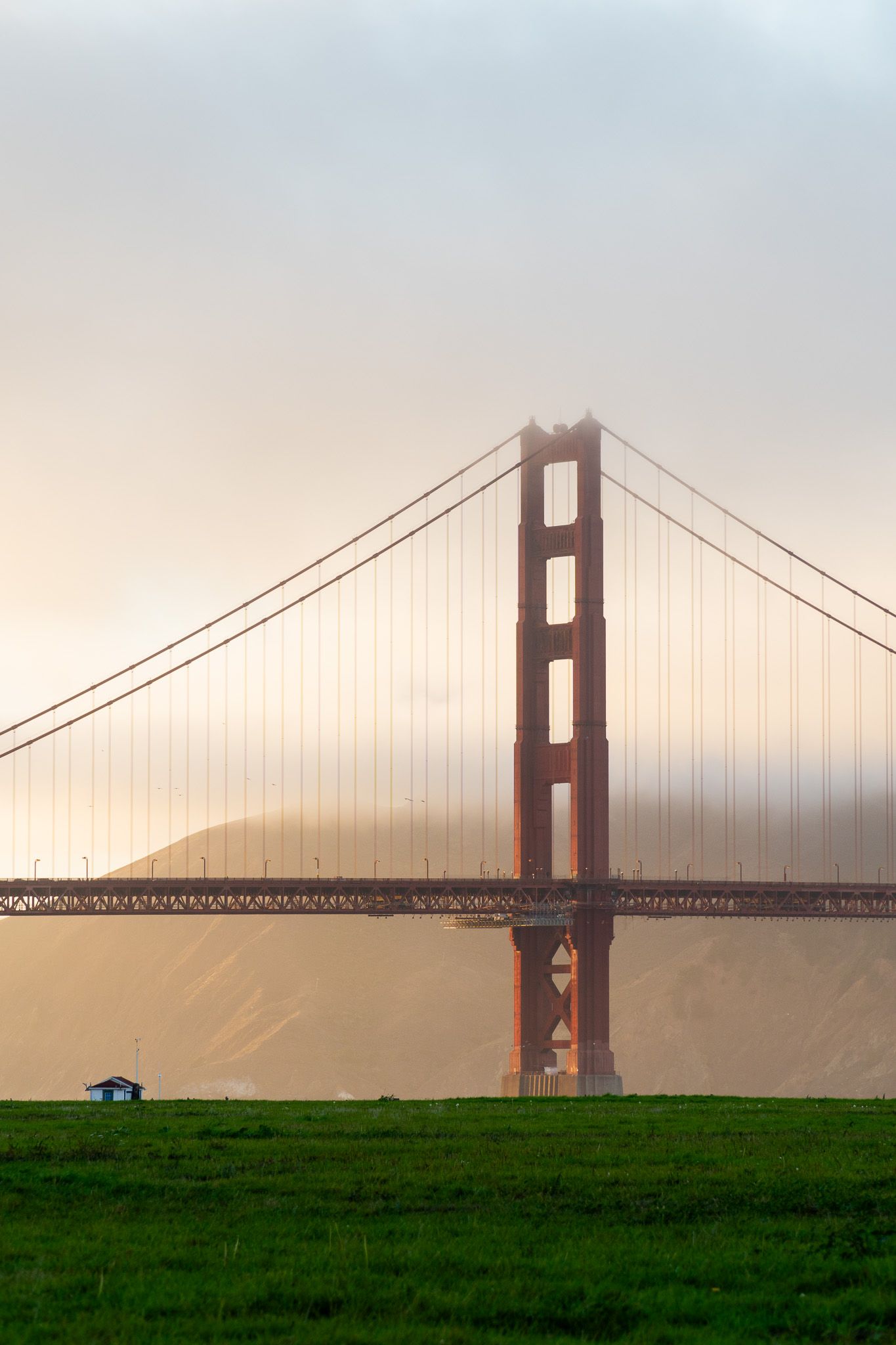 Golden Gate Bridge tower emerging through morning fog at sunrise with green grass in the foreground.