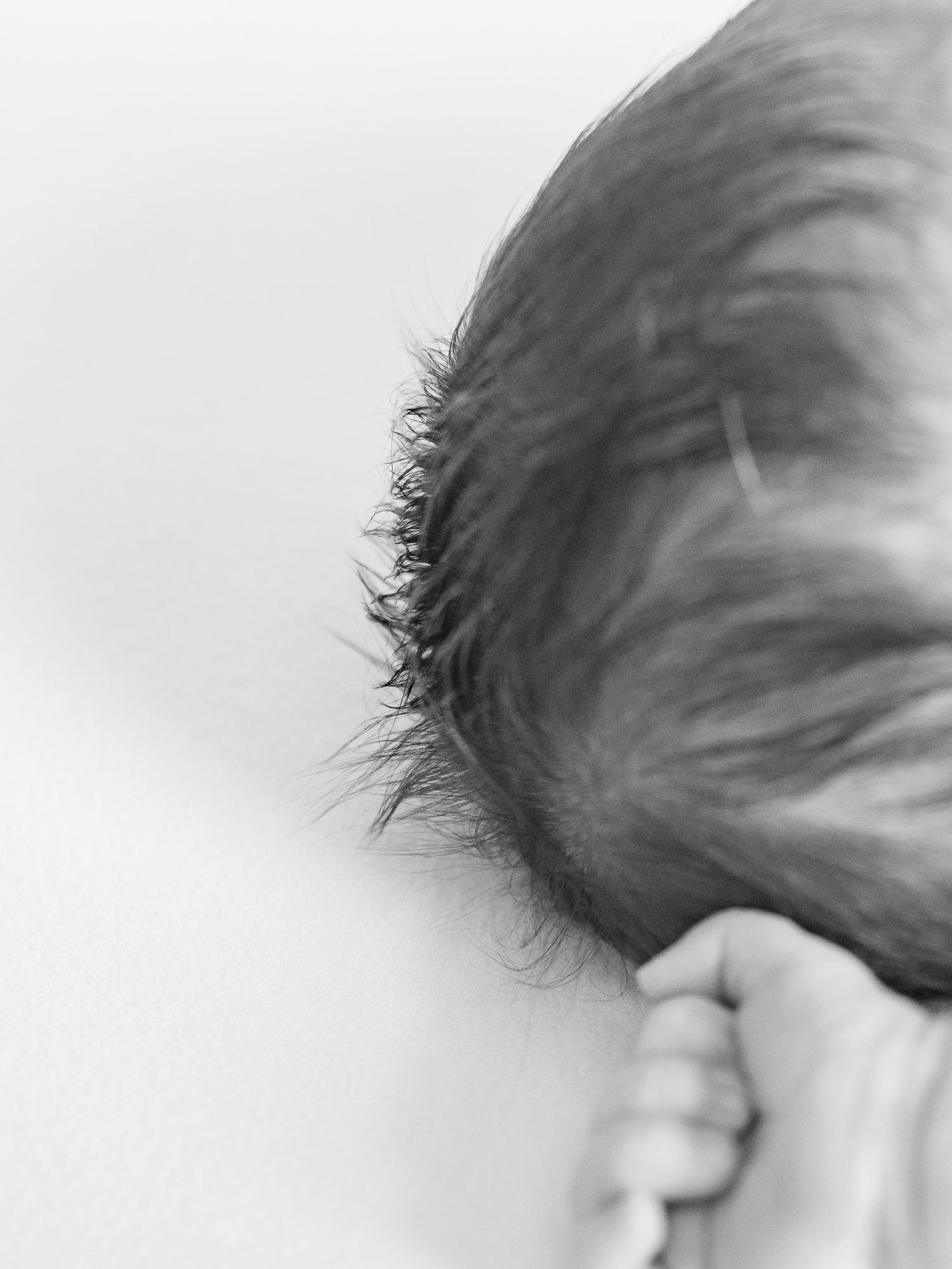 Close-up black and white photo of a newborn baby's head with fine dark hair and tiny hand visible.