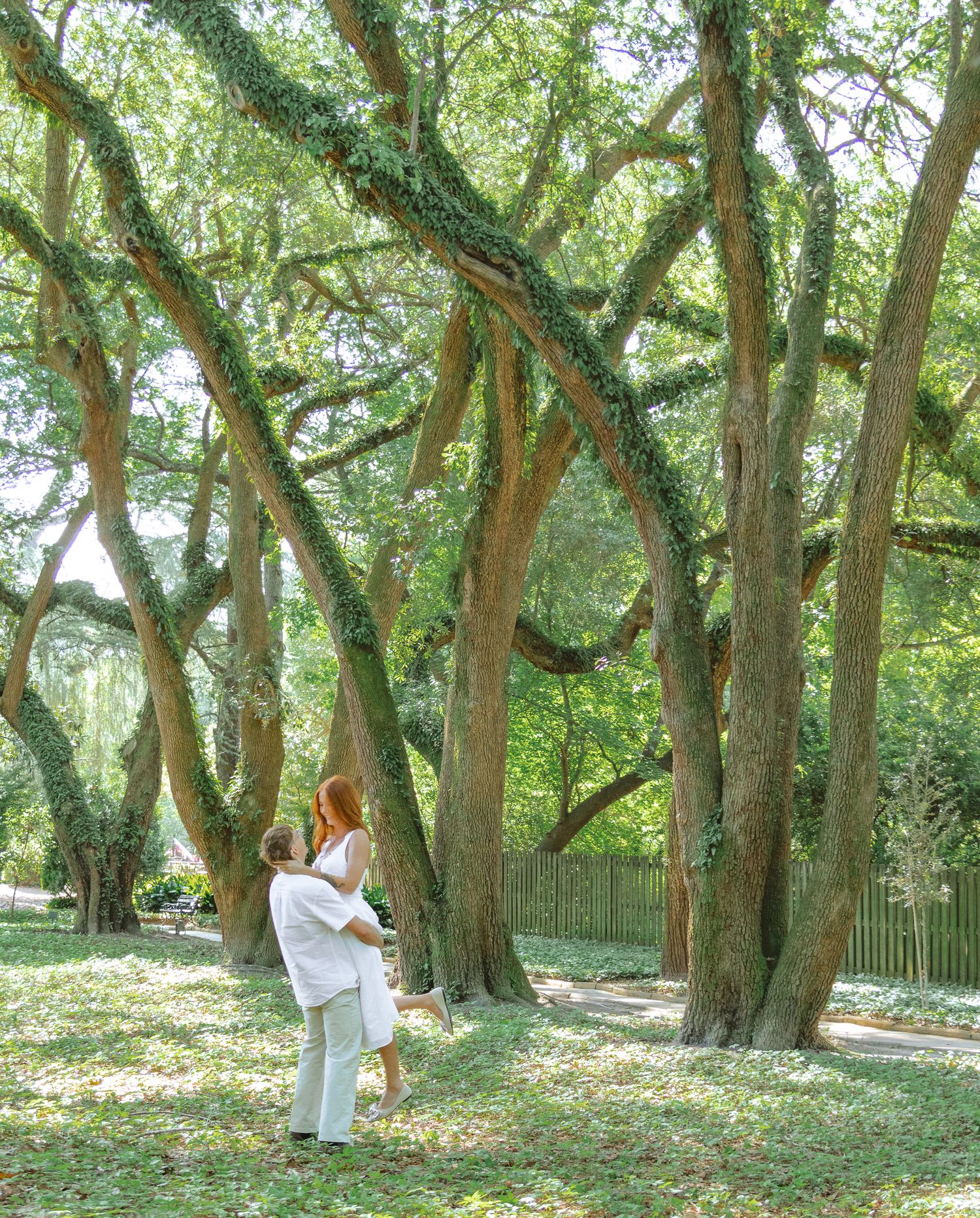 Engaged couple embracing beneath sprawling oak trees during an Aiken, South Carolina engagement session.