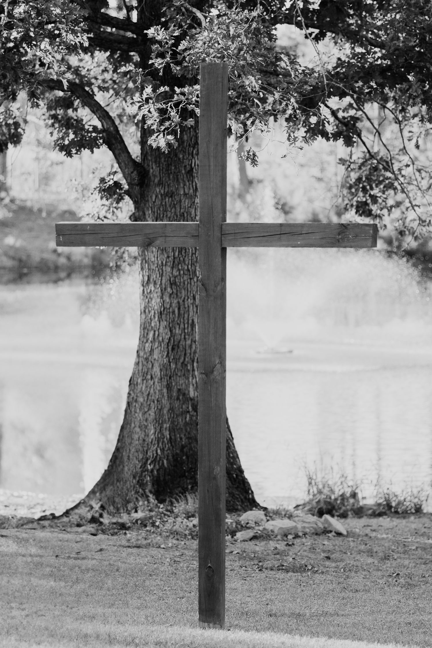 A black and white photograph of a large tree trunk with a wooden post standing next to it in a grassy field.