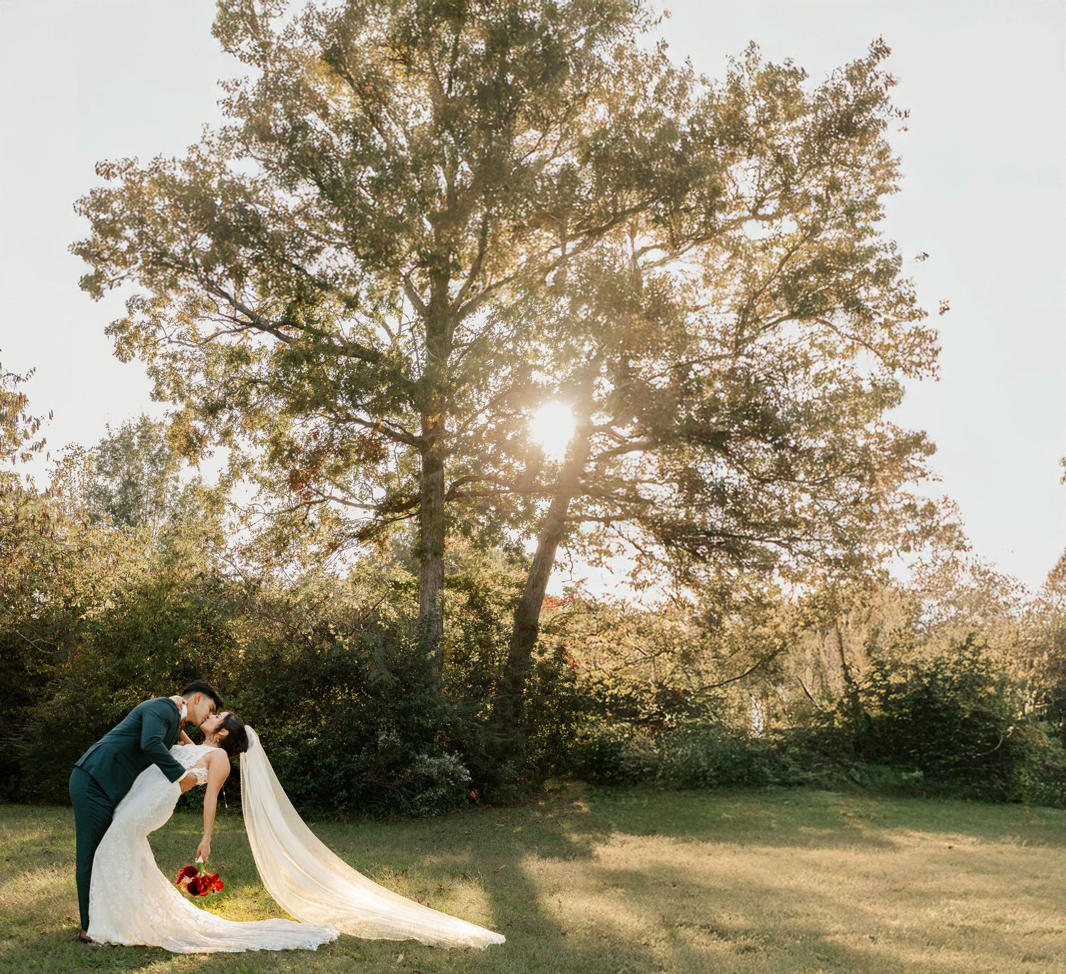 A couple in wedding attire embraces in a sun-drenched outdoor setting with tall trees and golden light. Lexington Wedding Photographer