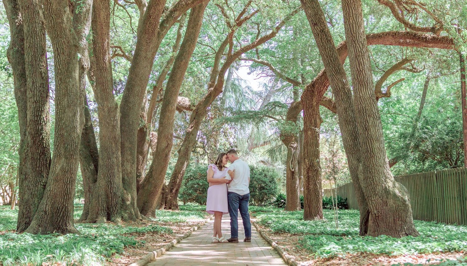 Couple embracing on a tree-lined pathway surrounded by lush green foliage in a romantic outdoor setting.