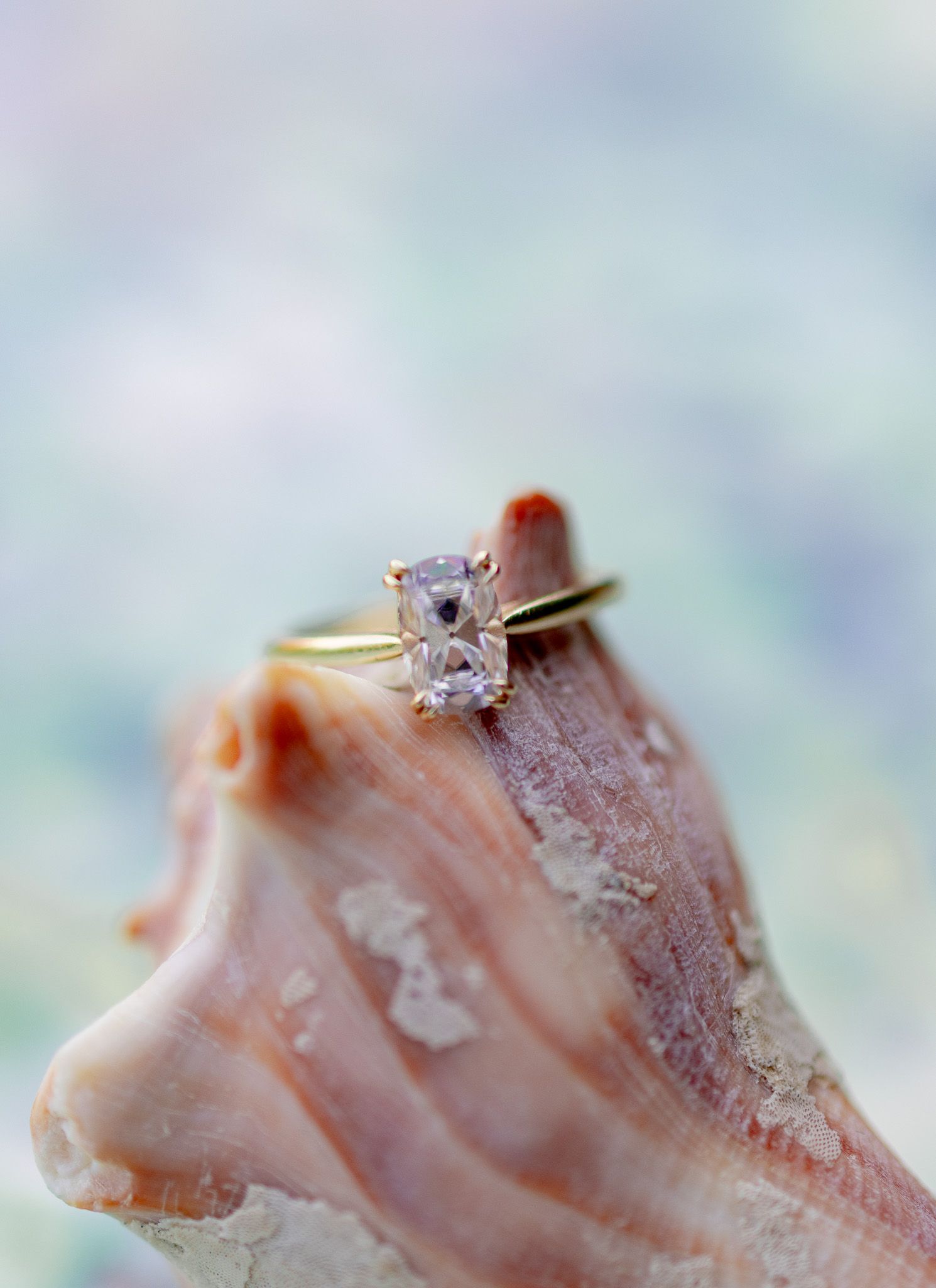 Gold engagement ring with a cushion-cut diamond photographed on a pink seashell at a Gilbert, South Carolina wedding.