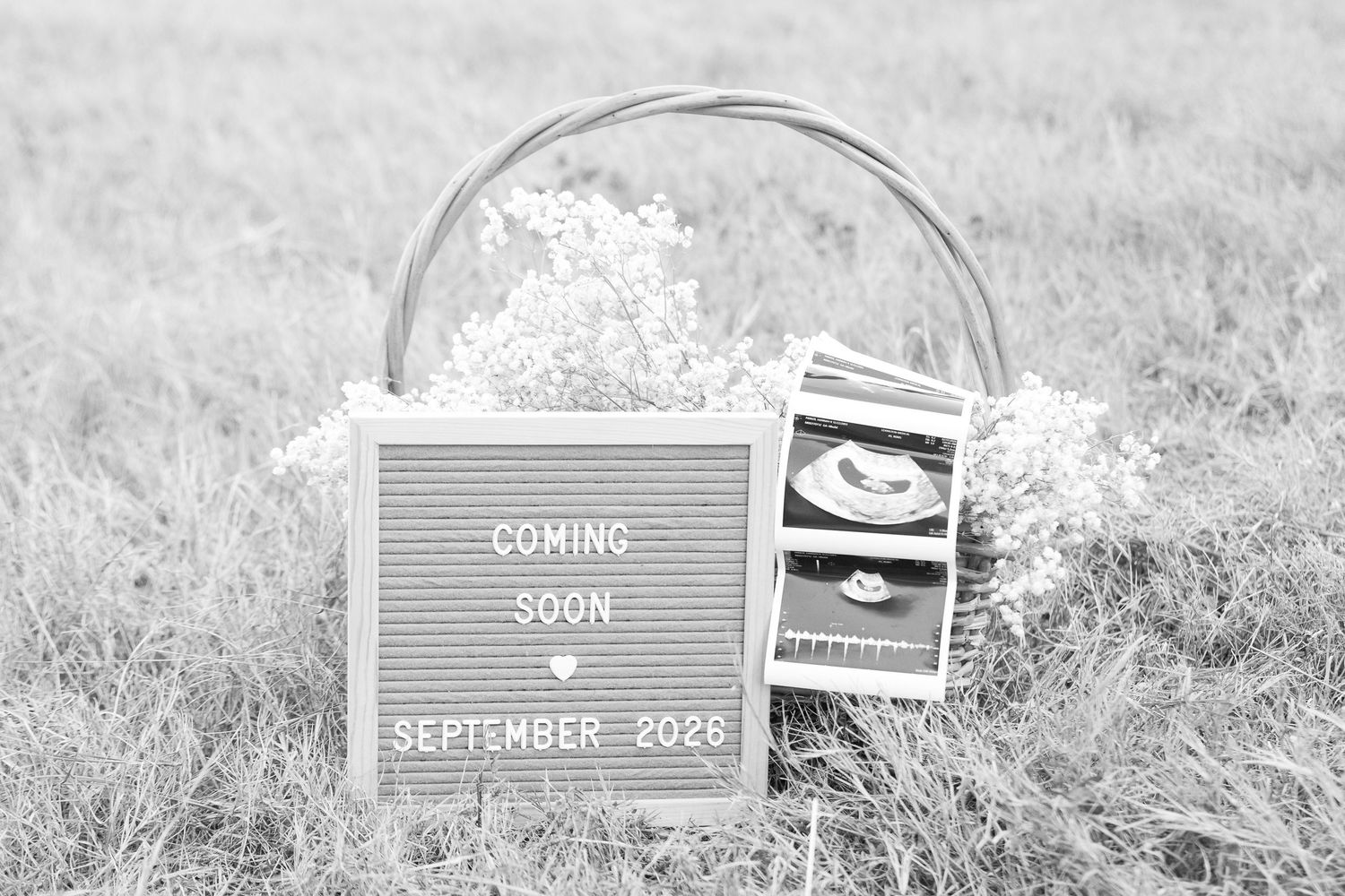A series of black and white signs in a grassy field show text about upcoming events and dates.