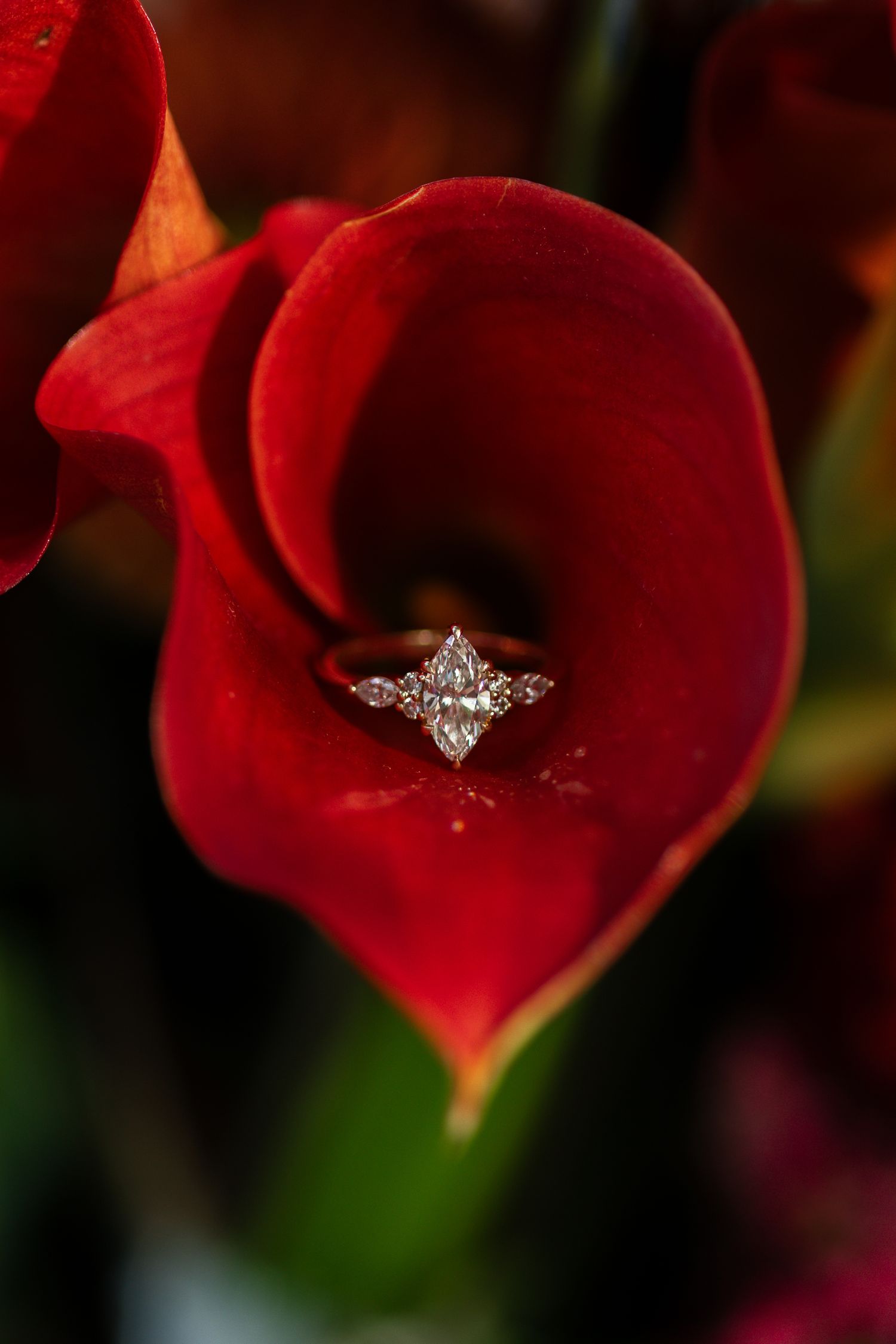 Marquise diamond engagement ring resting inside a vibrant red calla lily bloom.