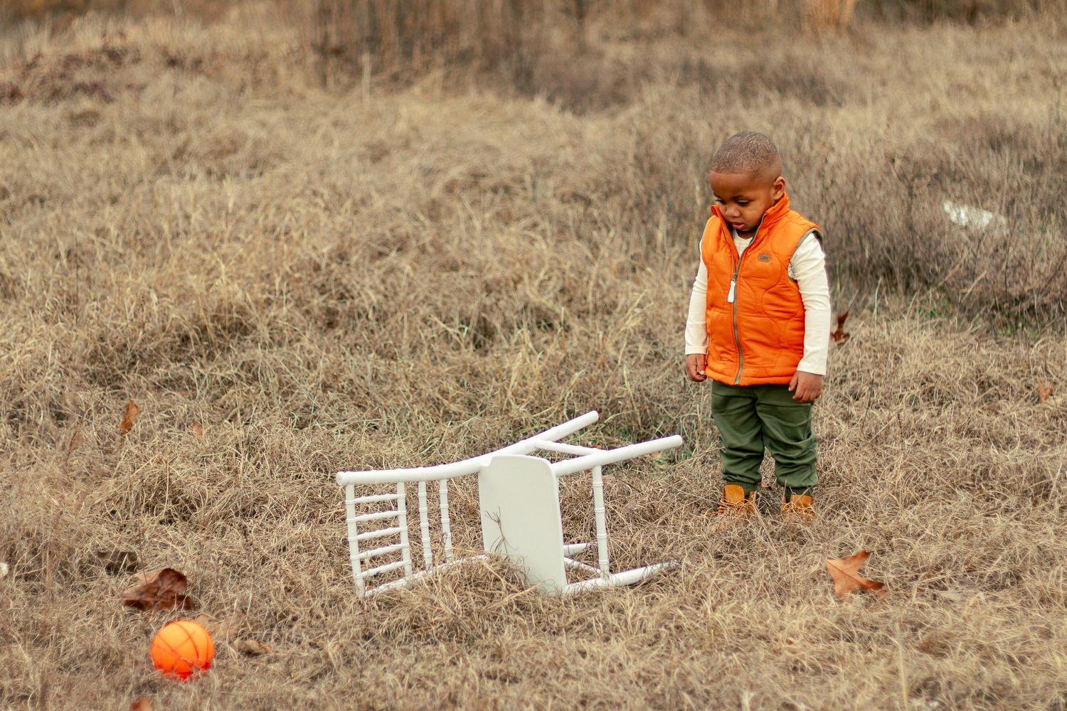 A series of connected images showing pumpkin carving and autumn outdoor activities in a rustic field setting.
