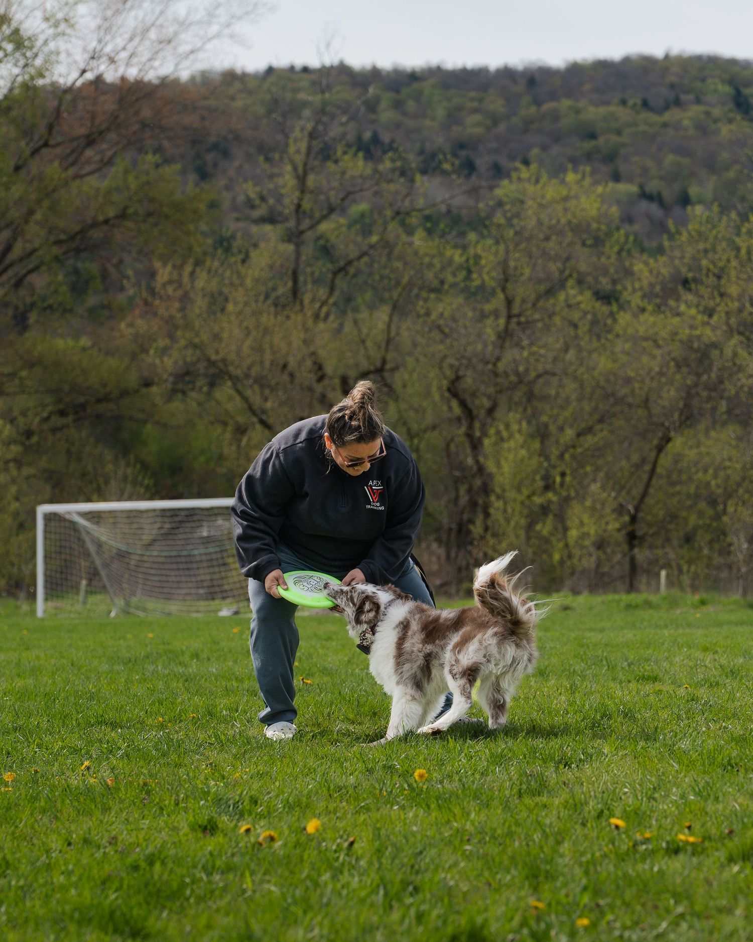 Person playing frisbee with a fluffy dog on a green field with soccer goal and wooded hills in background.