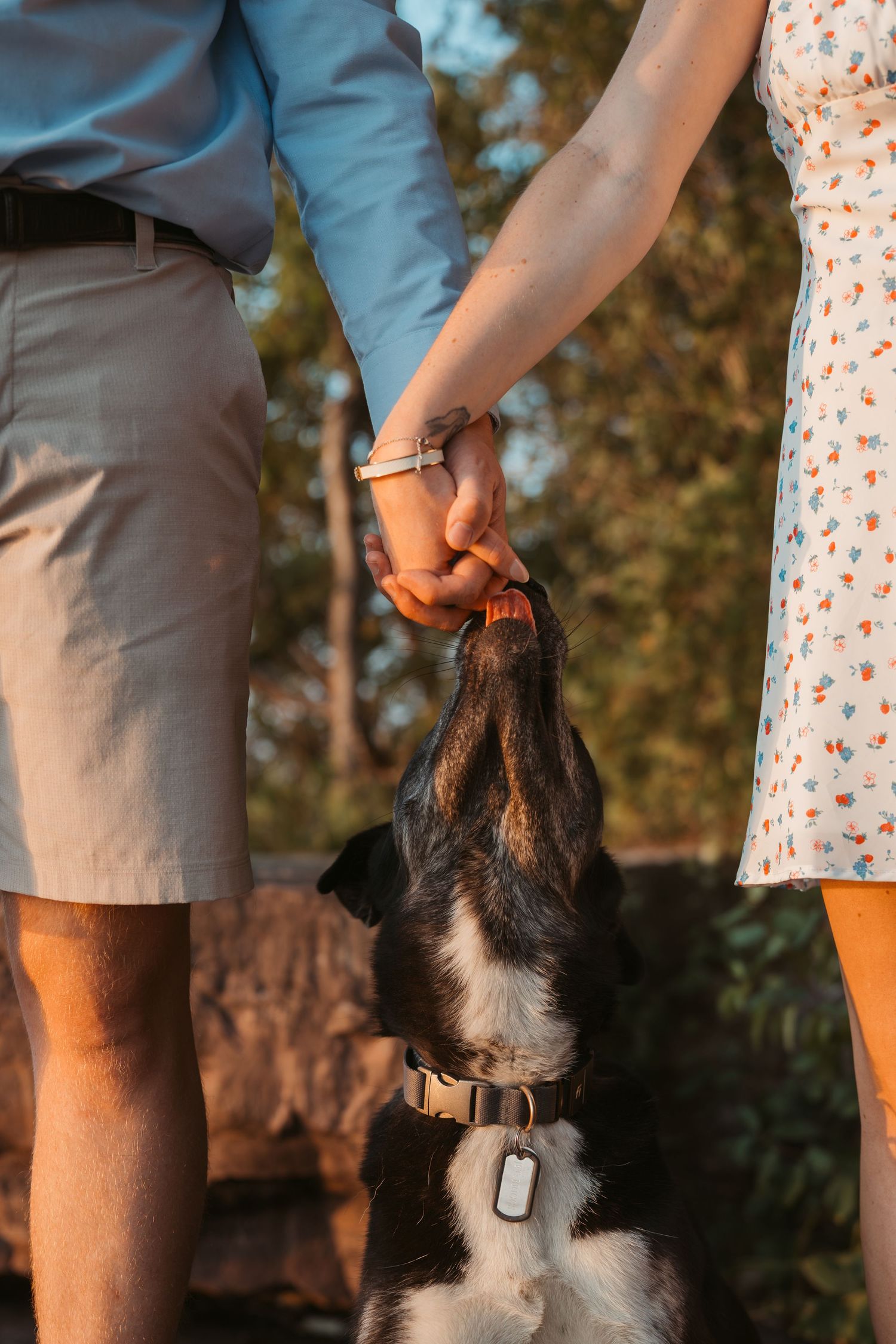 Couple holding hands while their black dog sniffs their hands in warm sunlight.