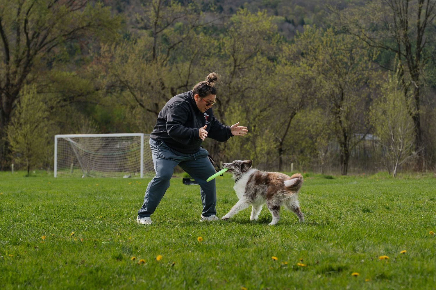 Woman playing fetch with a border collie dog on a green grass field with trees and a soccer goal in the background.